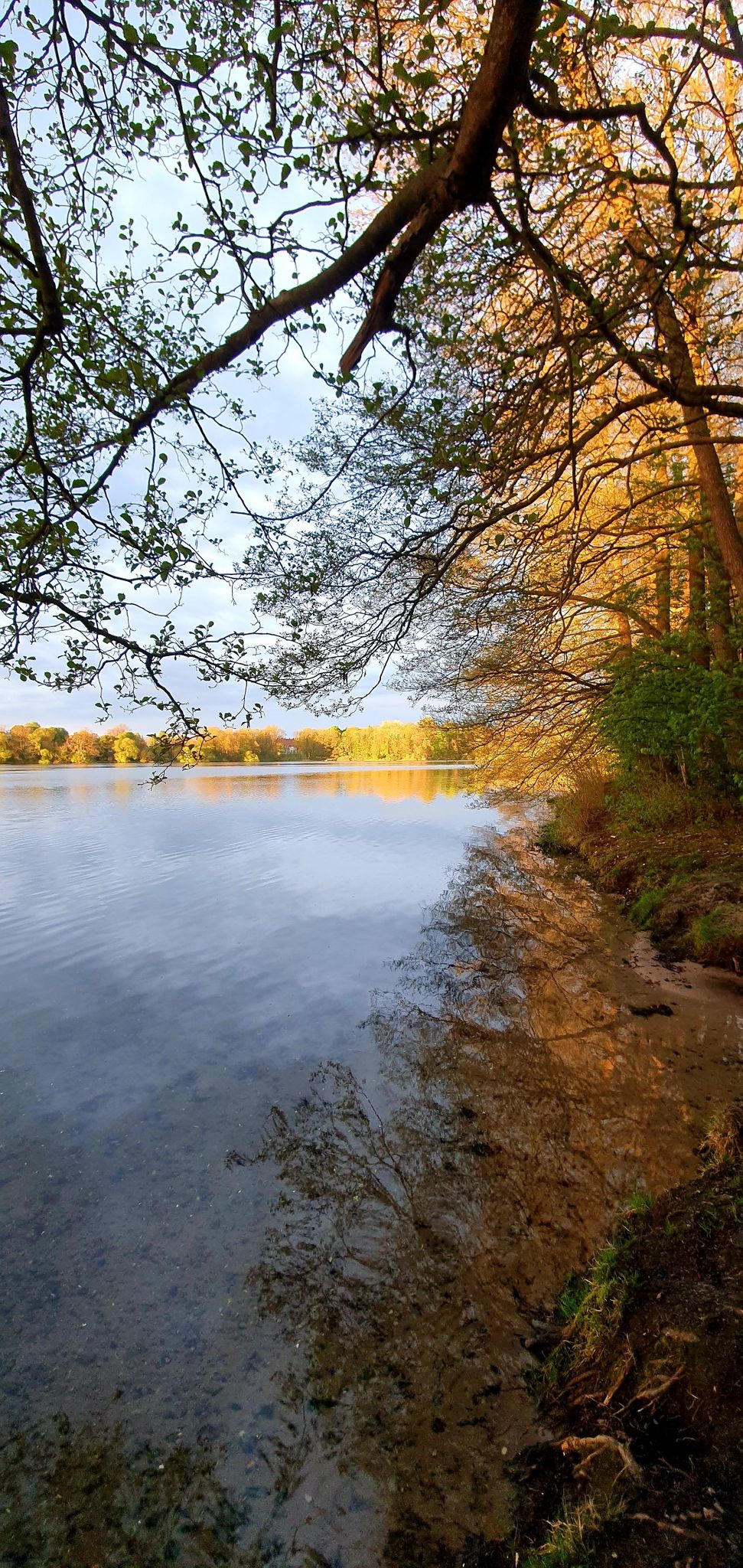 Muggesfelder See II