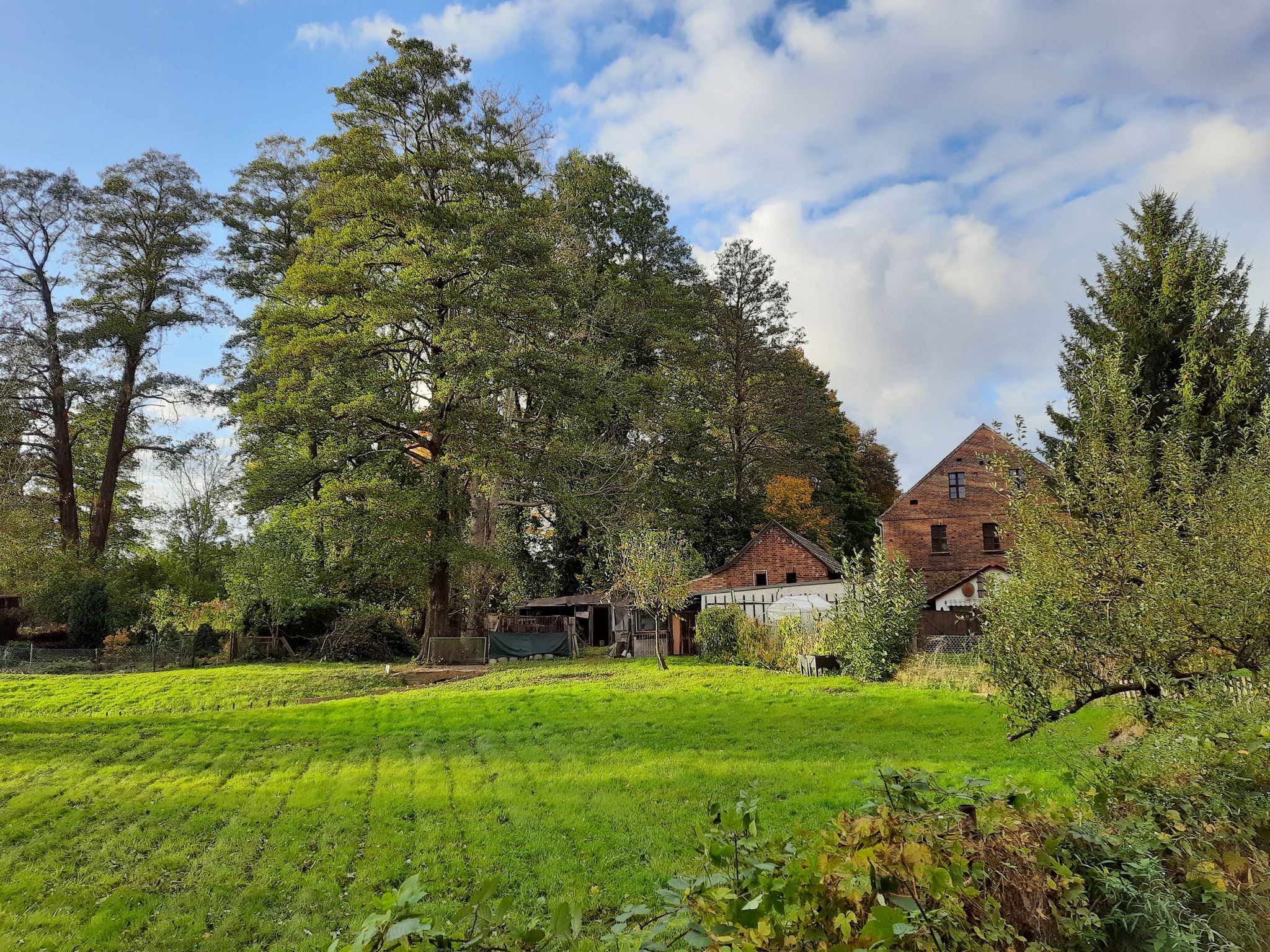 alte Mühle