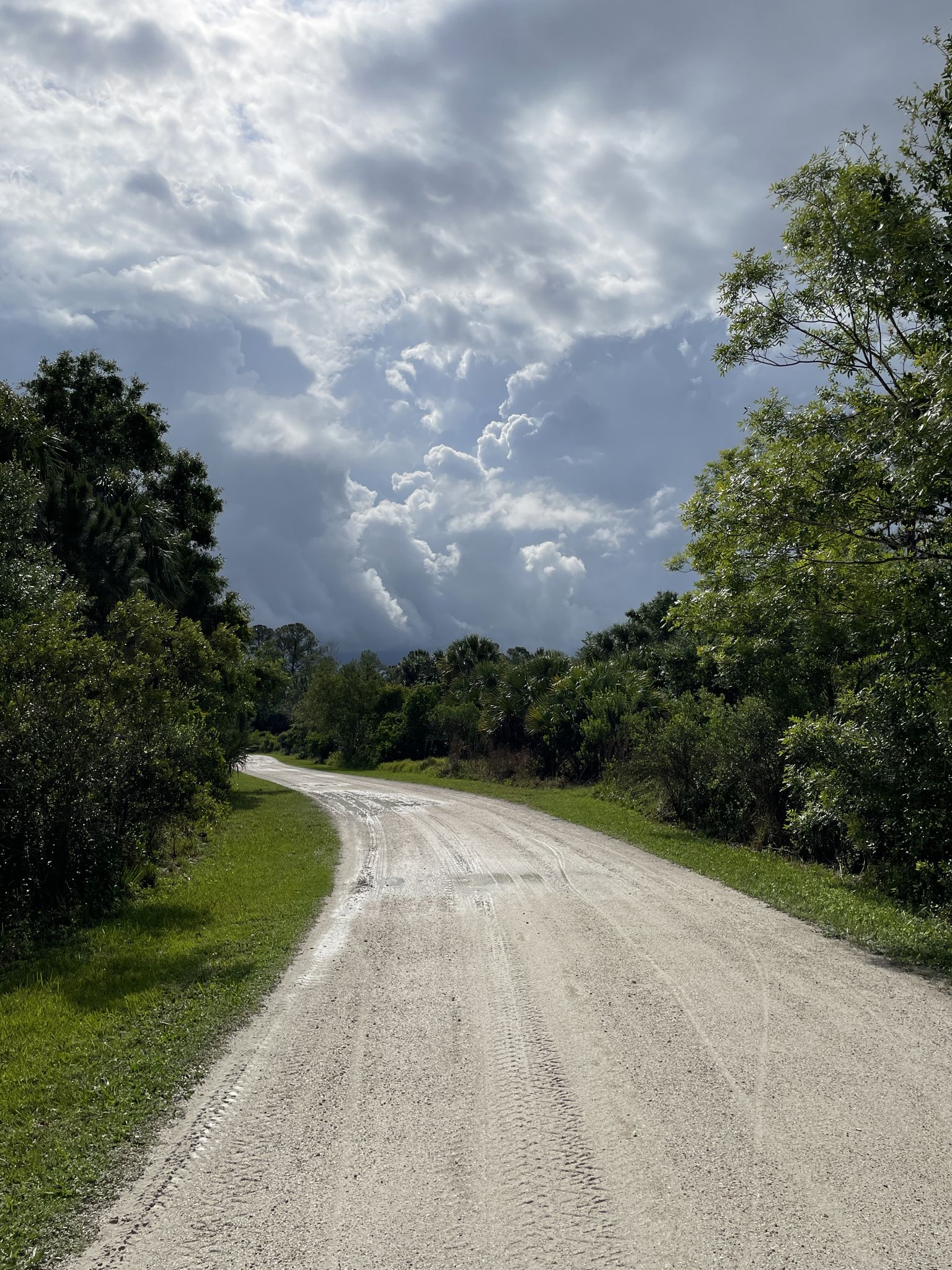 Dirt road winding through green trees under a dramatic cloudy sky. - Ocean to Lake Trail Loop