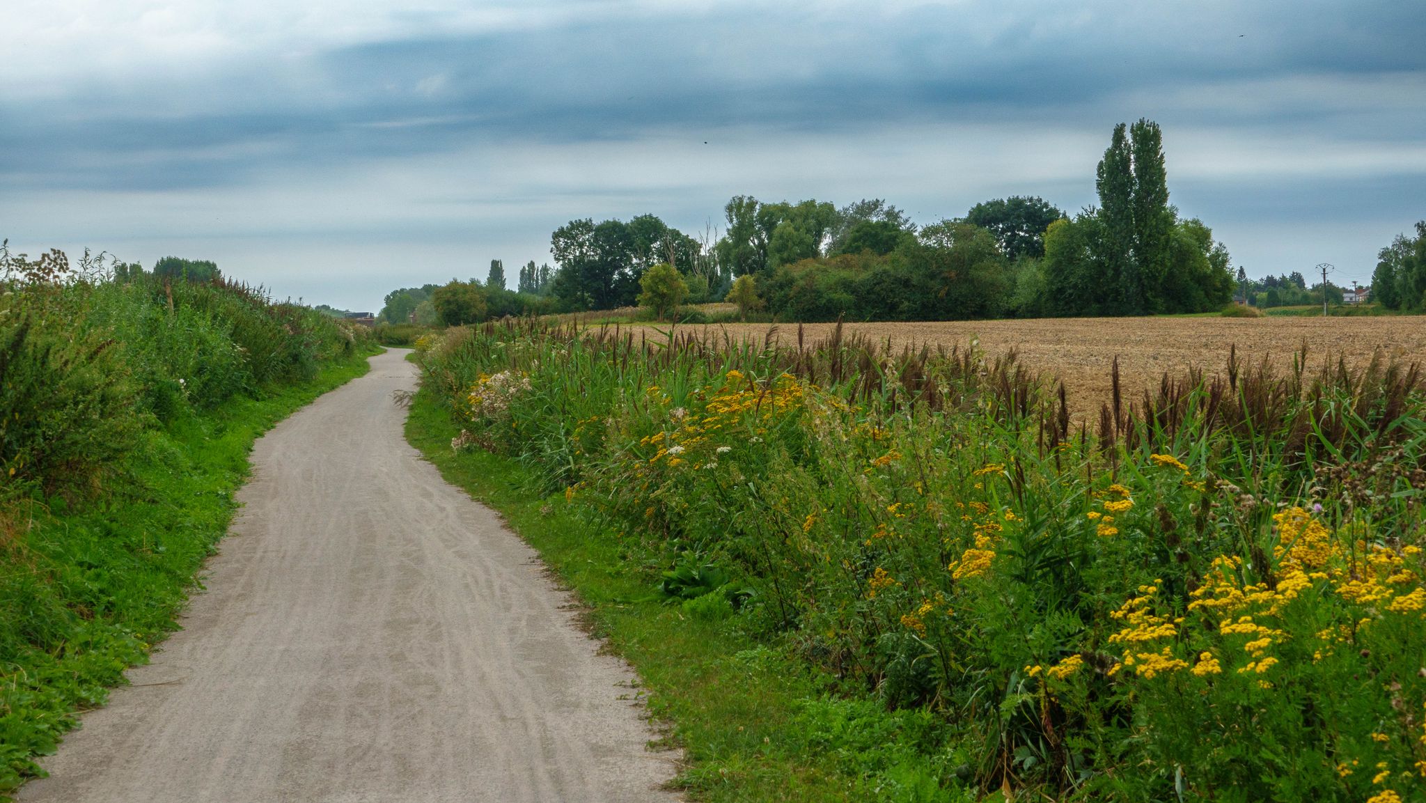 chemin de halage