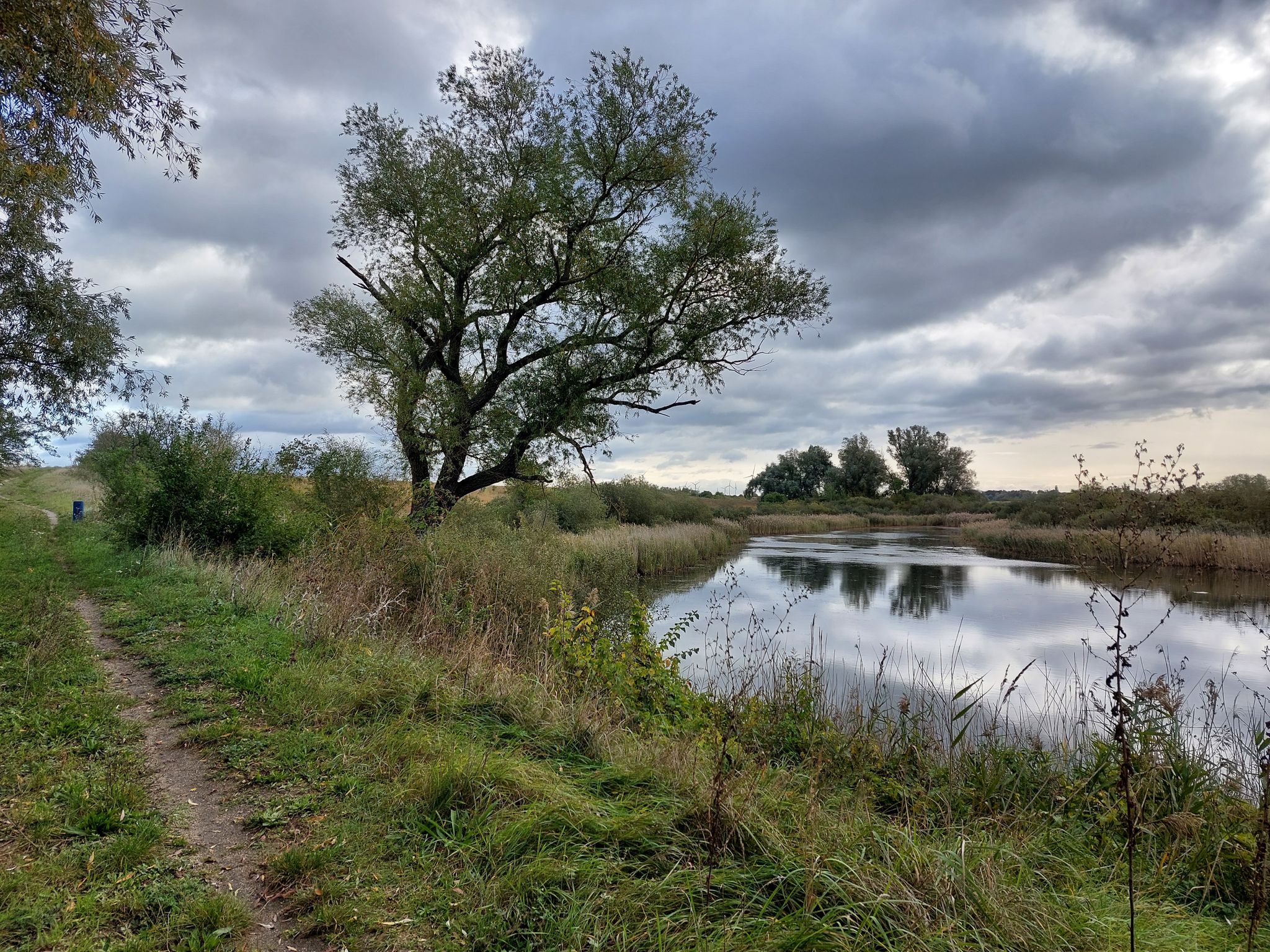 schöne Trails im Teichgebiet