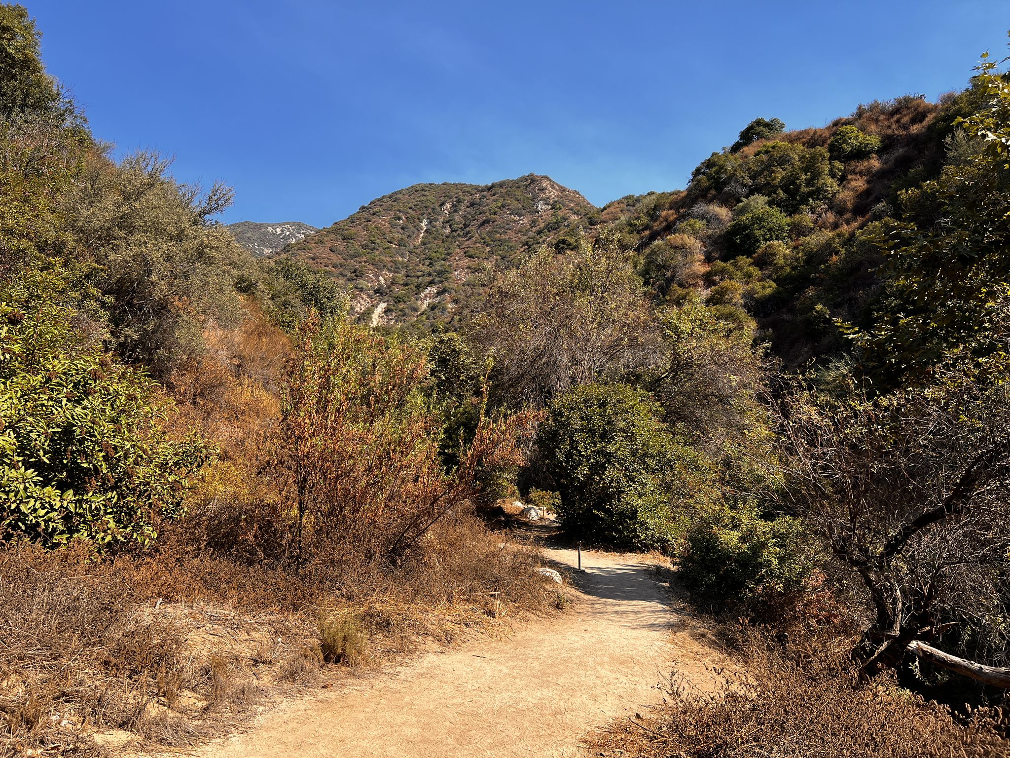 A sunny dirt path winds through a dry, brushy valley with hills. - Bailey Canyon Nature Trail
