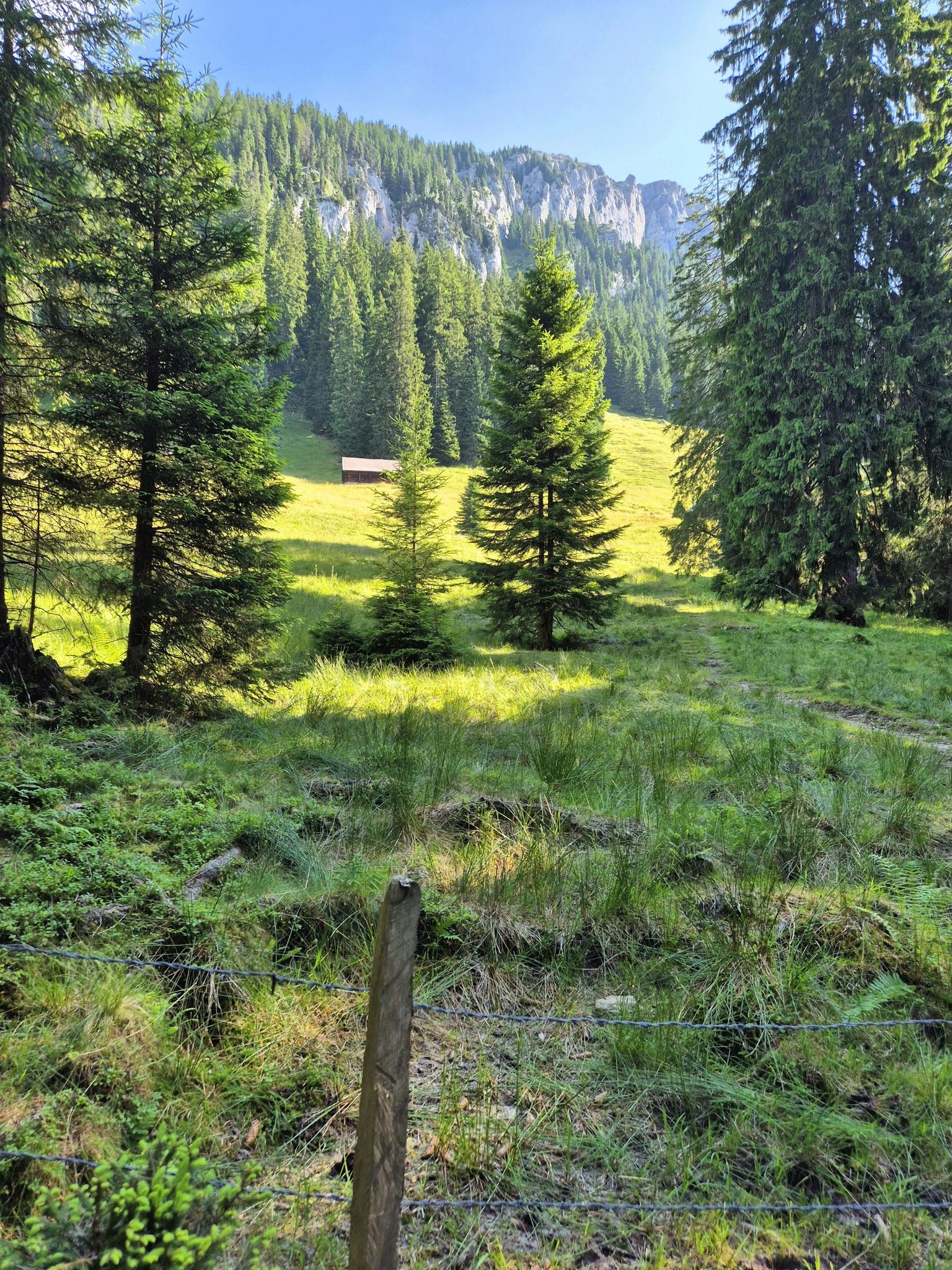 Schy-Alpe in Sicht