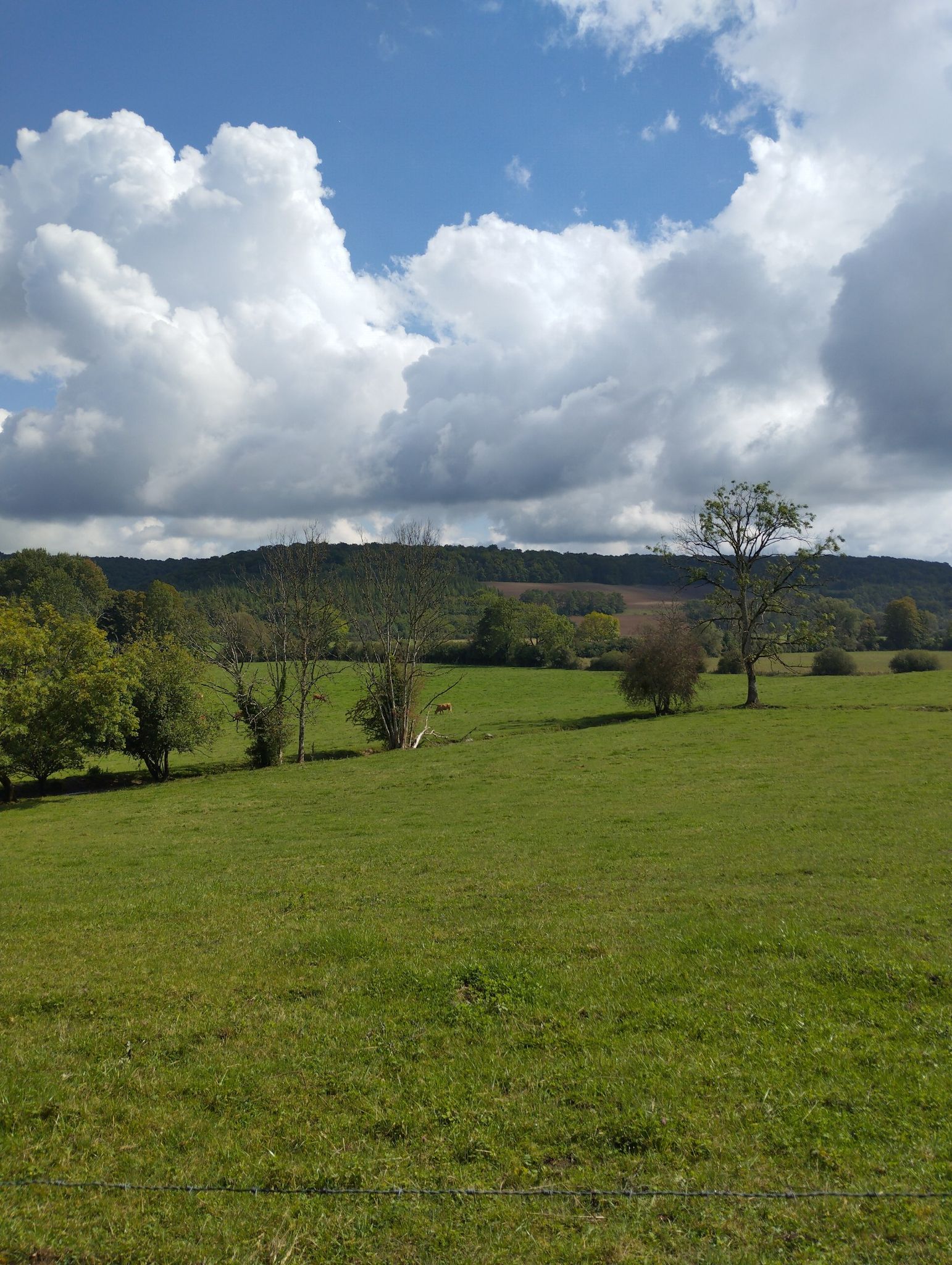vue sur la campagne