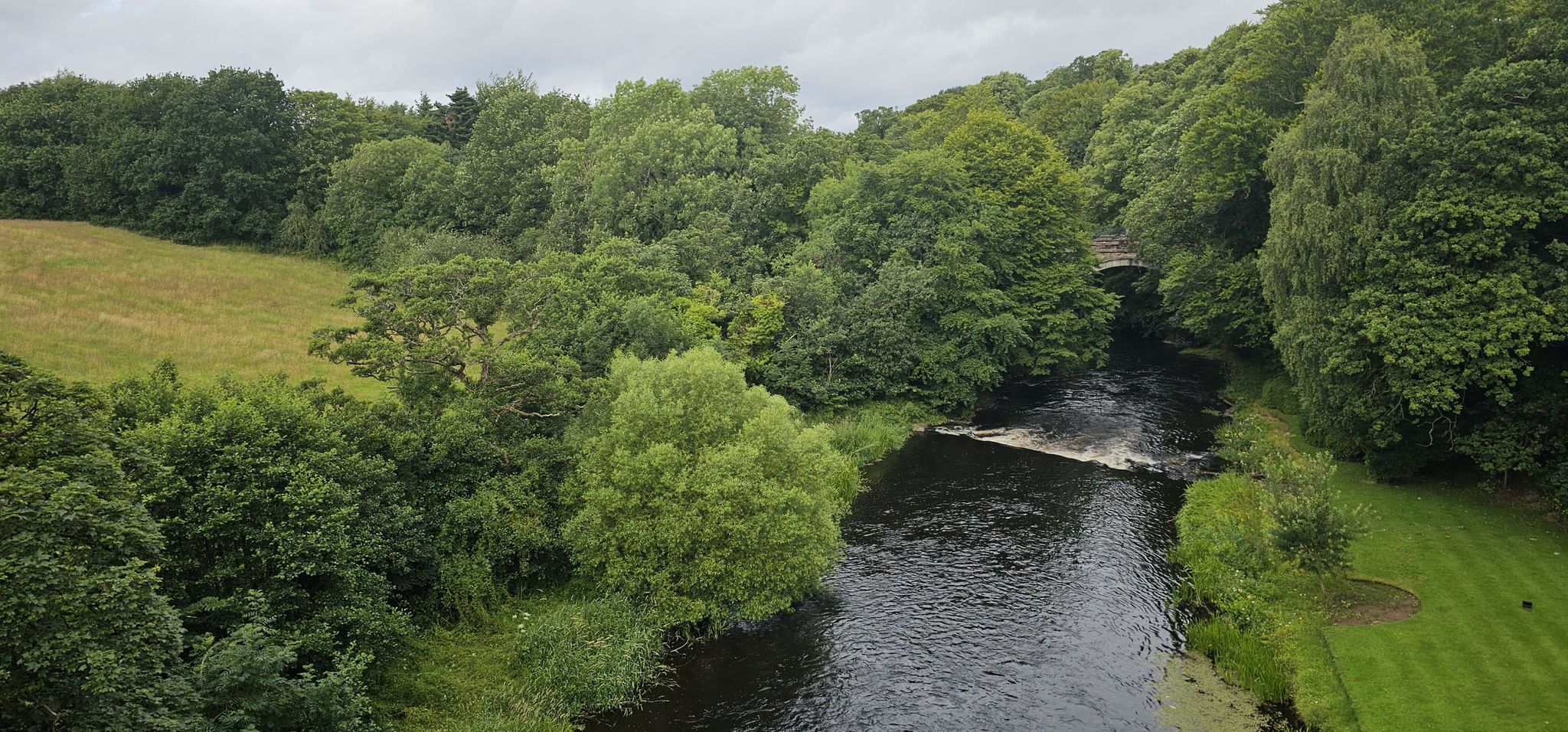Ayr