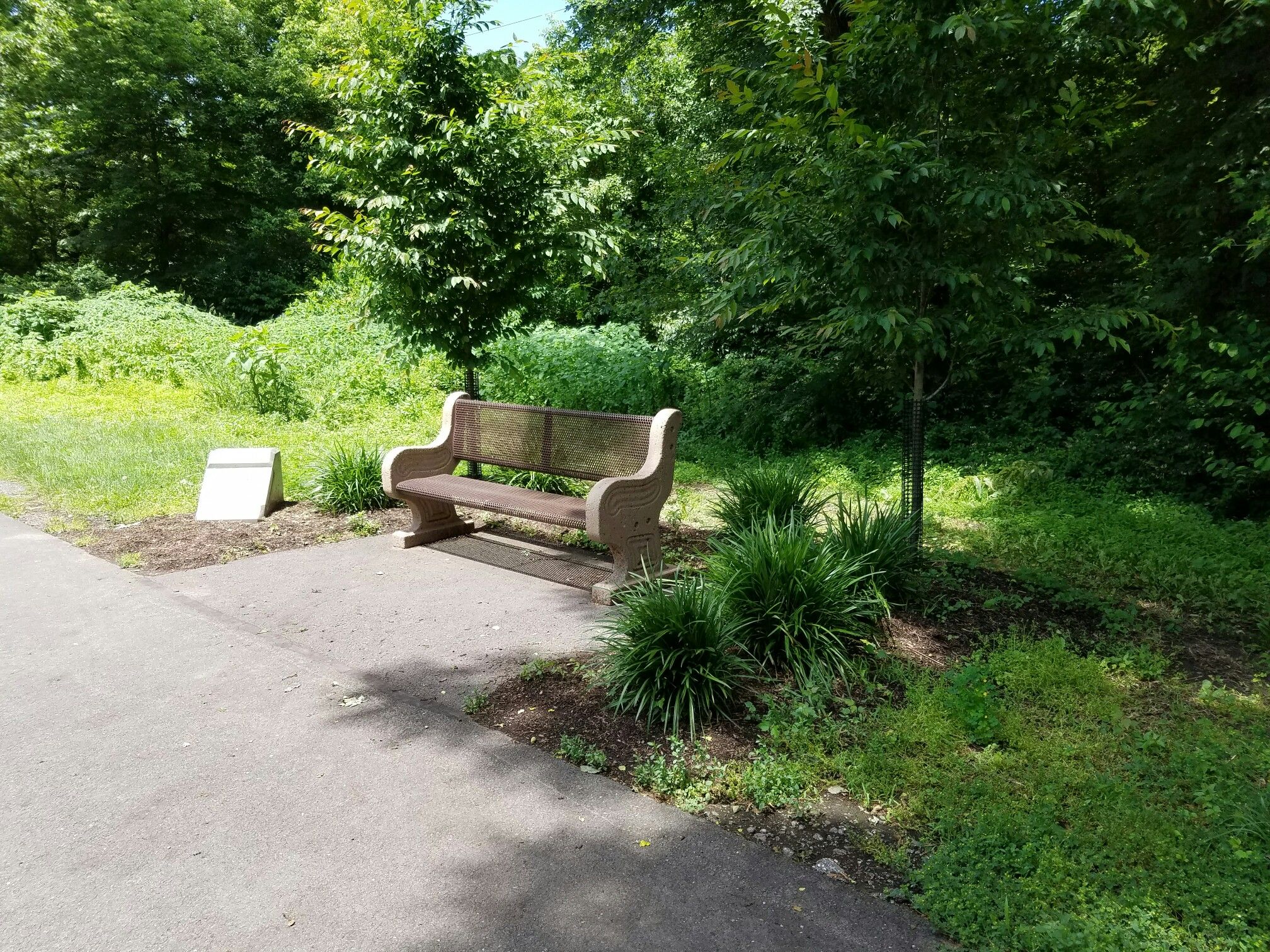 Wooden park bench next to a paved path, surrounded by green foliage. - Roadbike loop from Marietta