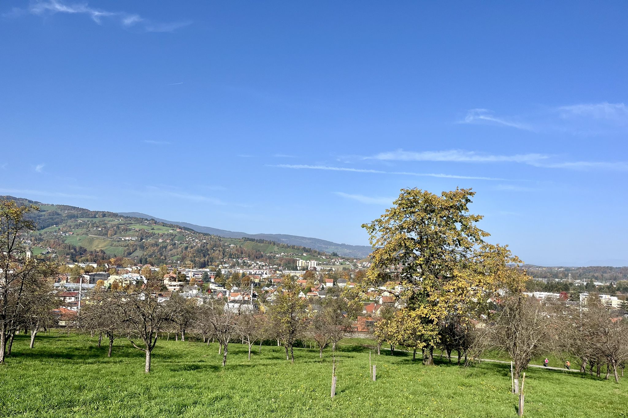 Blick auf Deutschlandsberg