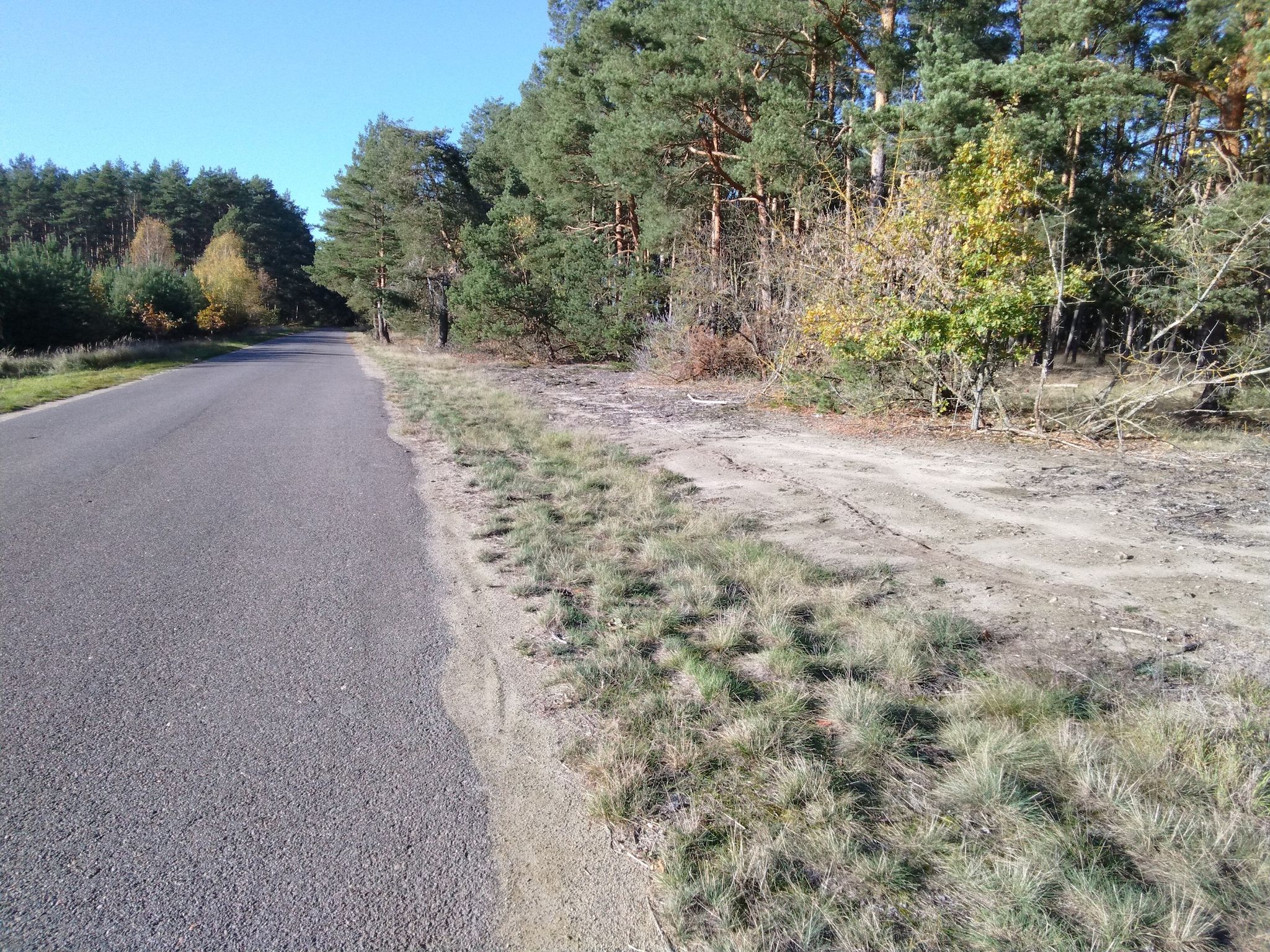 hier ist der Bahndamm bereits sehr flach zur Straße