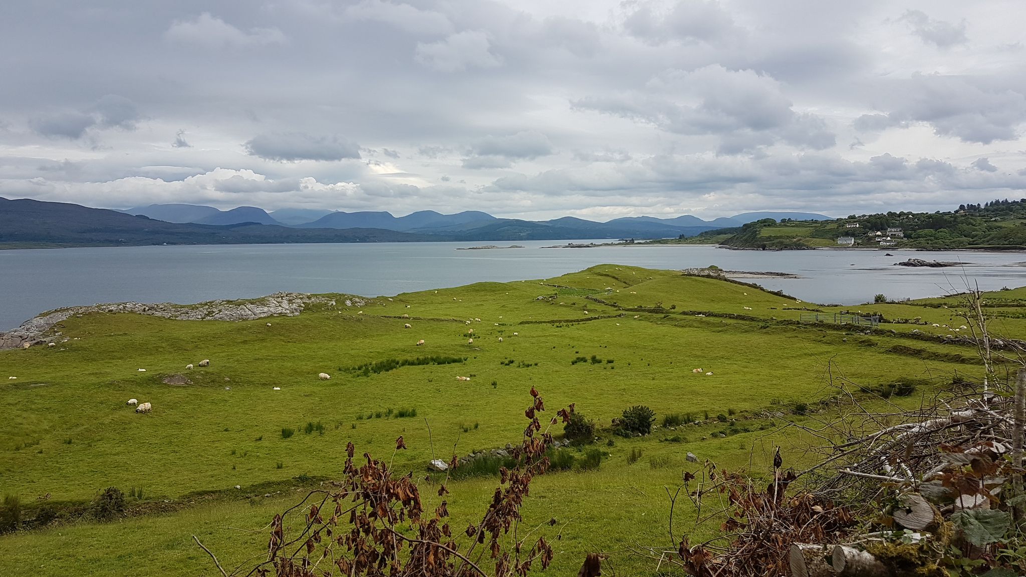Blick in die Kenmare Bucht