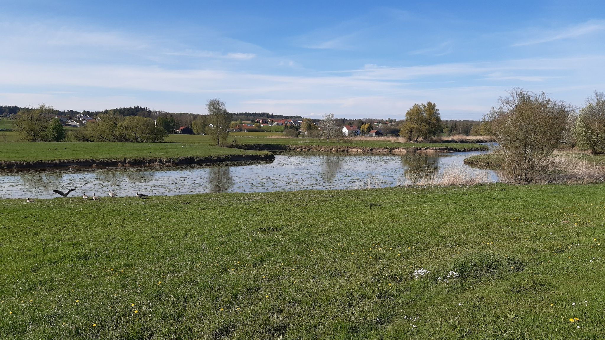 Die Rott bei der Fischer-Au