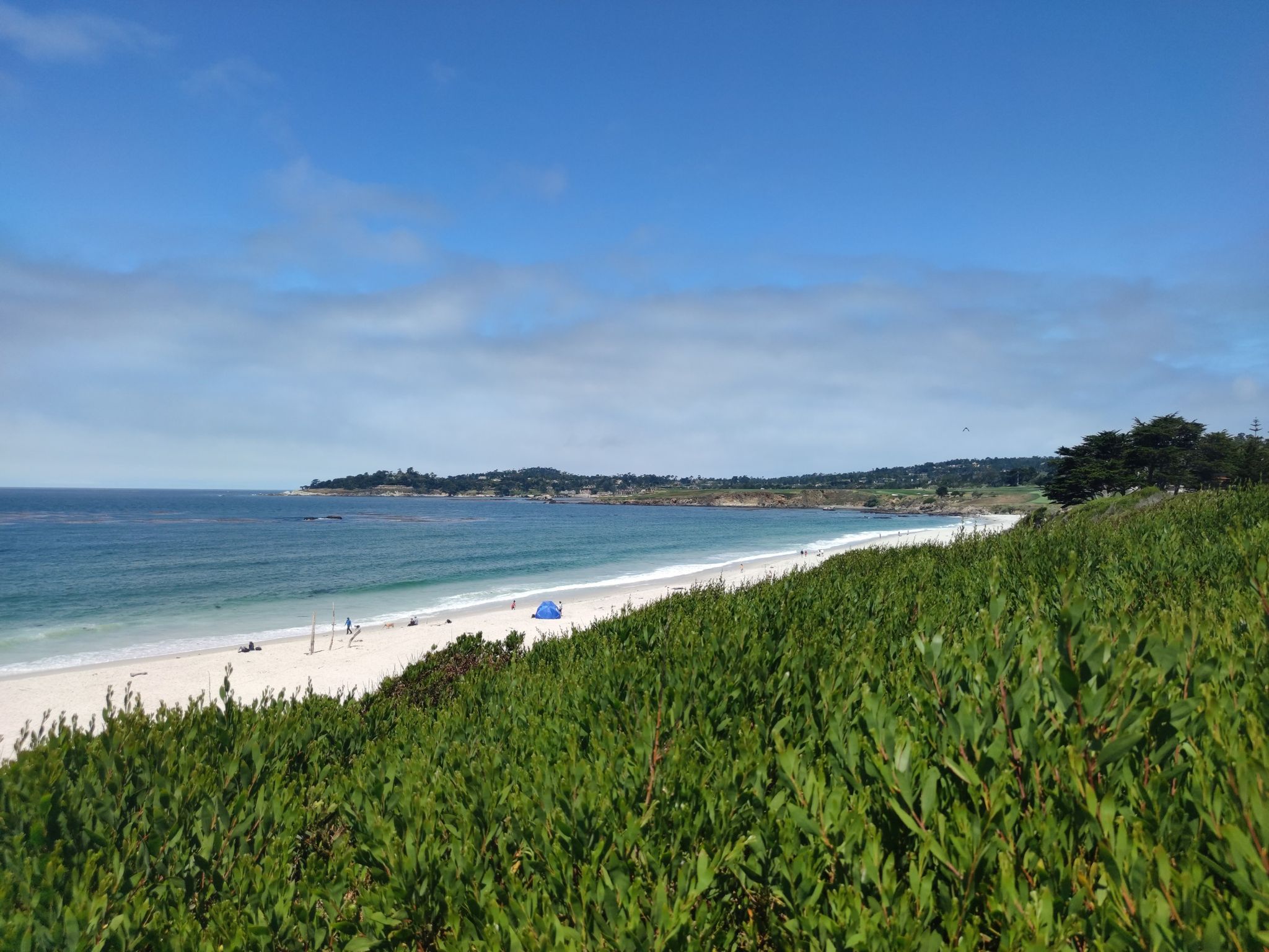 Vibrant green foliage overlooking a white sandy beach and blue ocean. - Carmel Beach