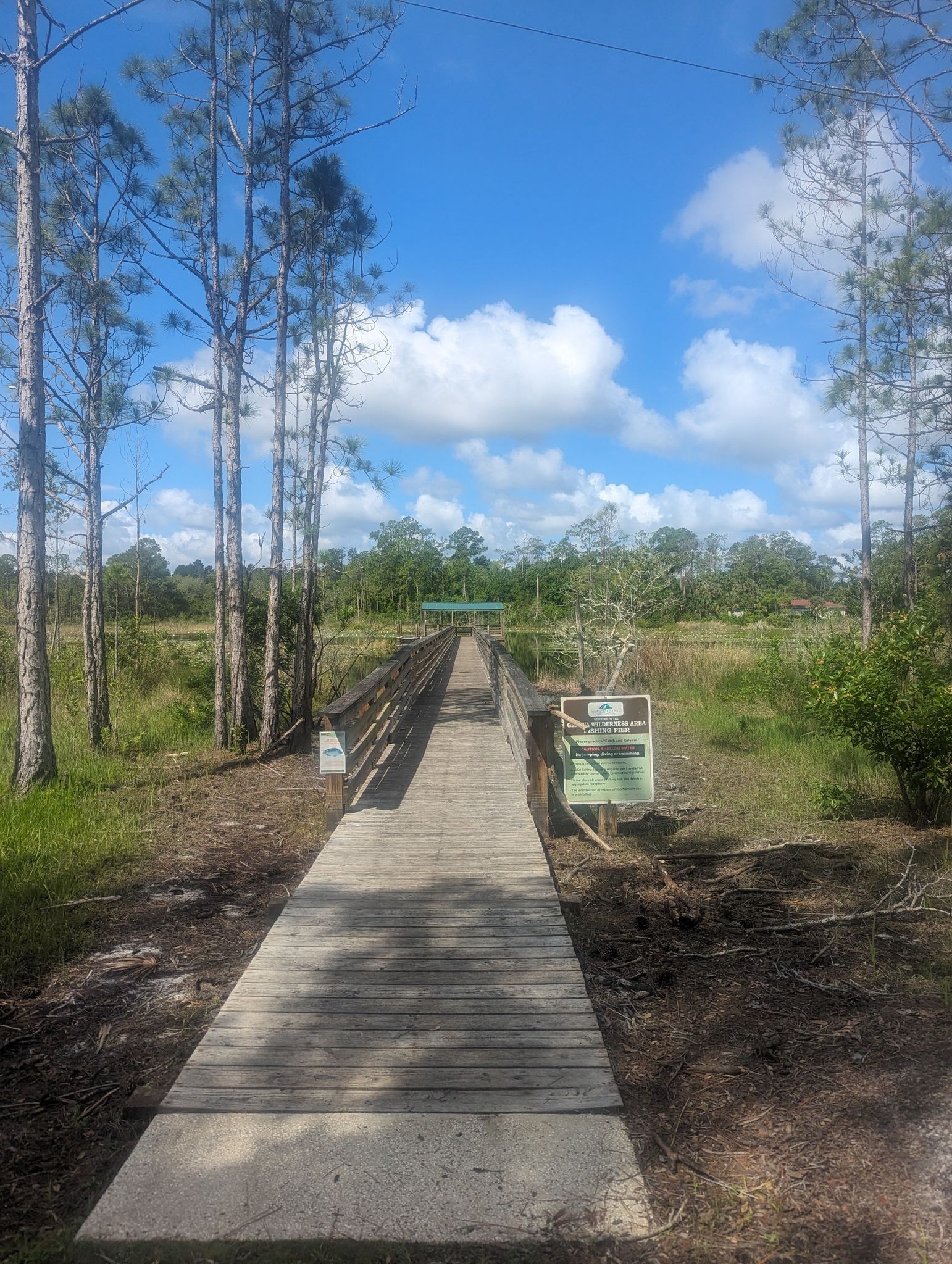 Wooden boardwalk extending through a sunny, treed landscape under a blue sky. - Geneva Wilderness Loop