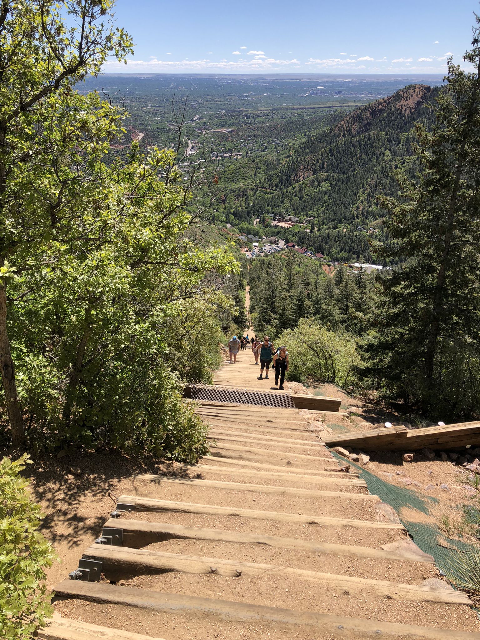 People descending a long, steep wooden staircase through green trees. Bright day. - Manitou Incline