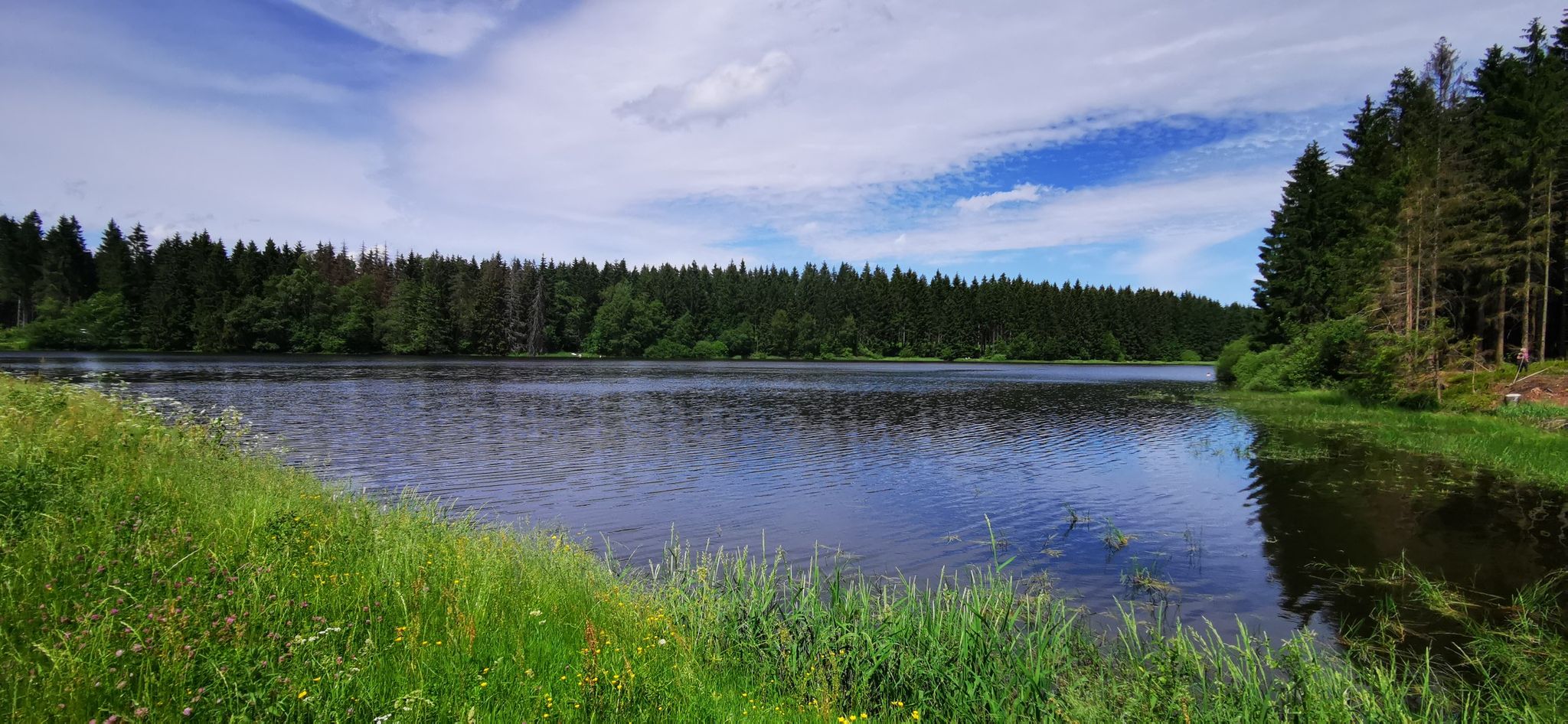Oberer Nassenwieser Teich