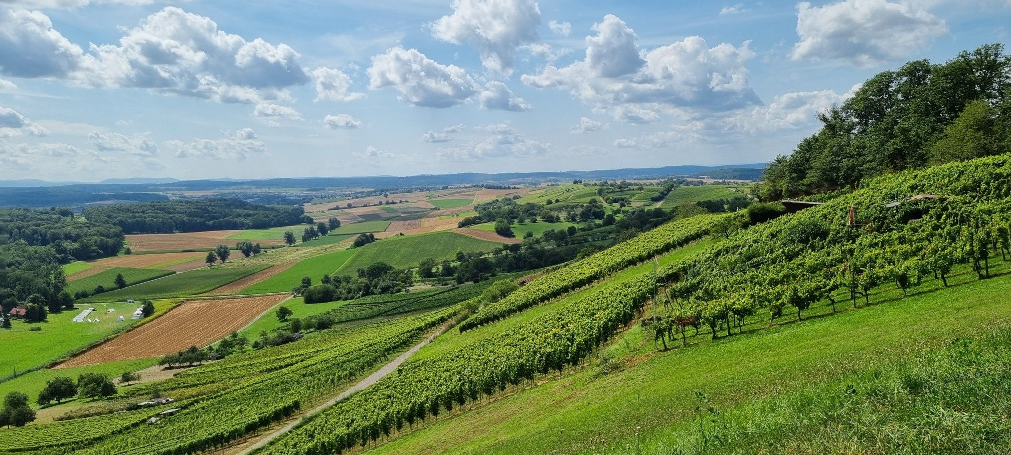 Ausblick vom Derdinger Horn