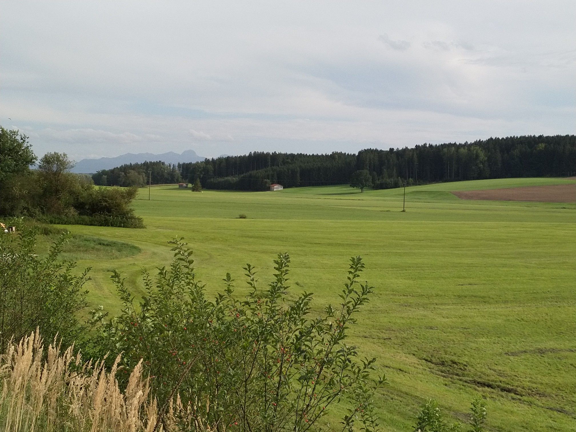 Glonntal bei Haslach