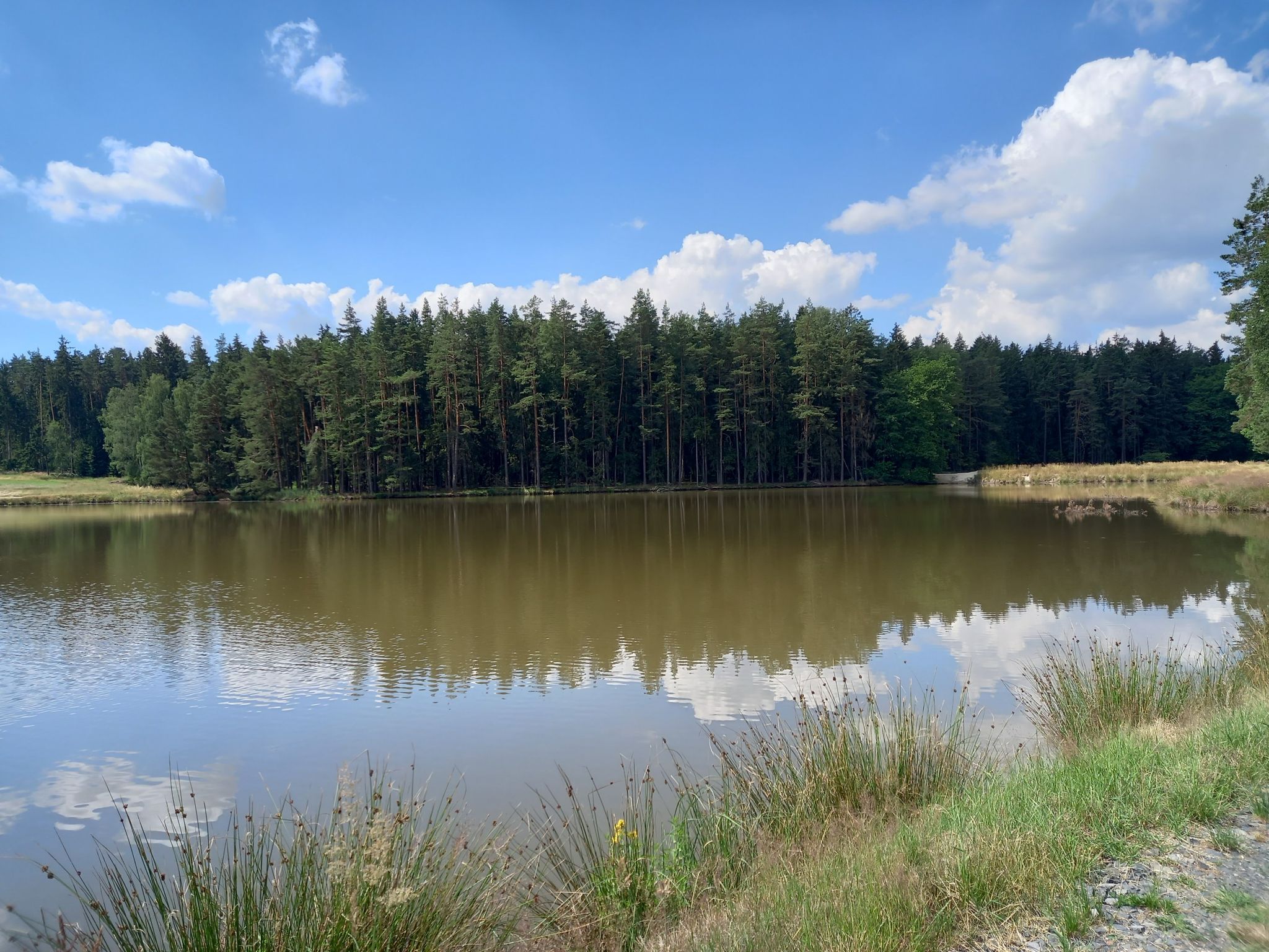 Adamsteiche