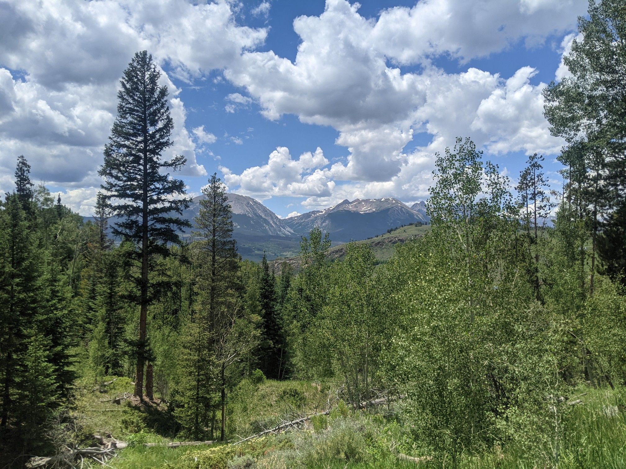 Lush forest with distant mountains under a bright, partly cloudy sky. - Straight Creek Trail