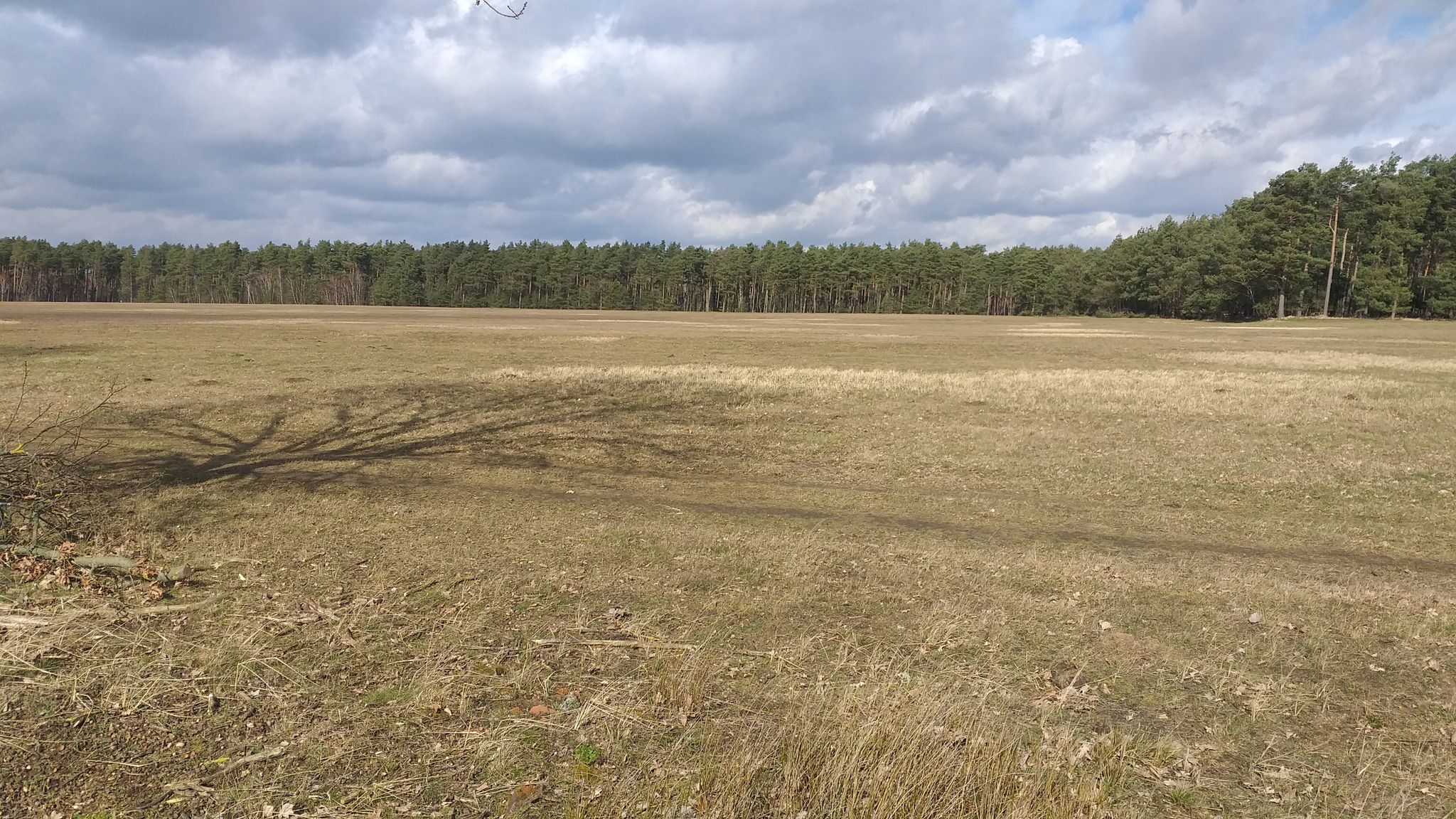 Steppe auf Sandboden