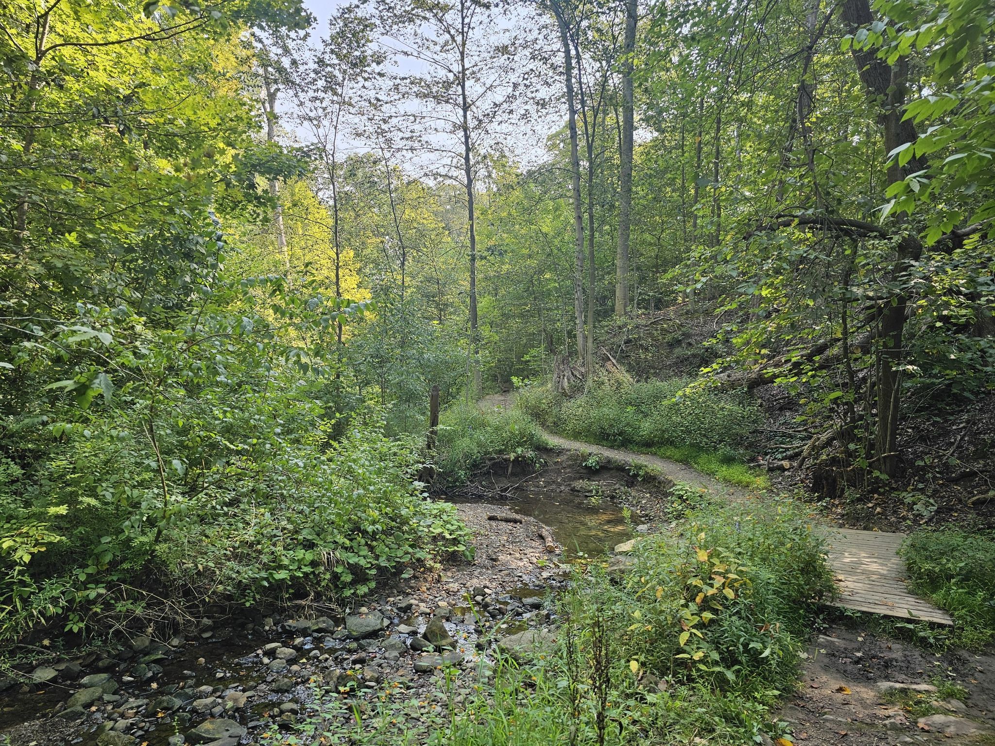 Winding dirt path, rocky stream, and wooden bridge in a lush green forest. - Brecksville Trailhead – Chippewa Creek Rocks loop from Brecksville