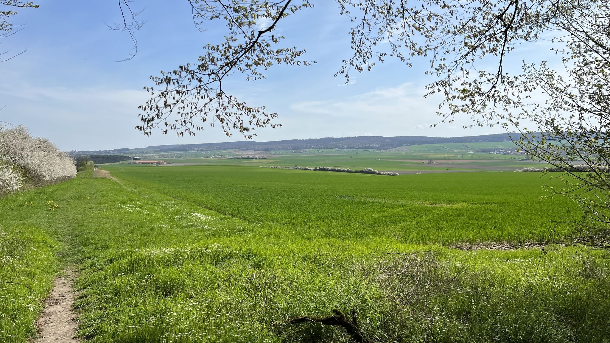 traumhafter Elmblick