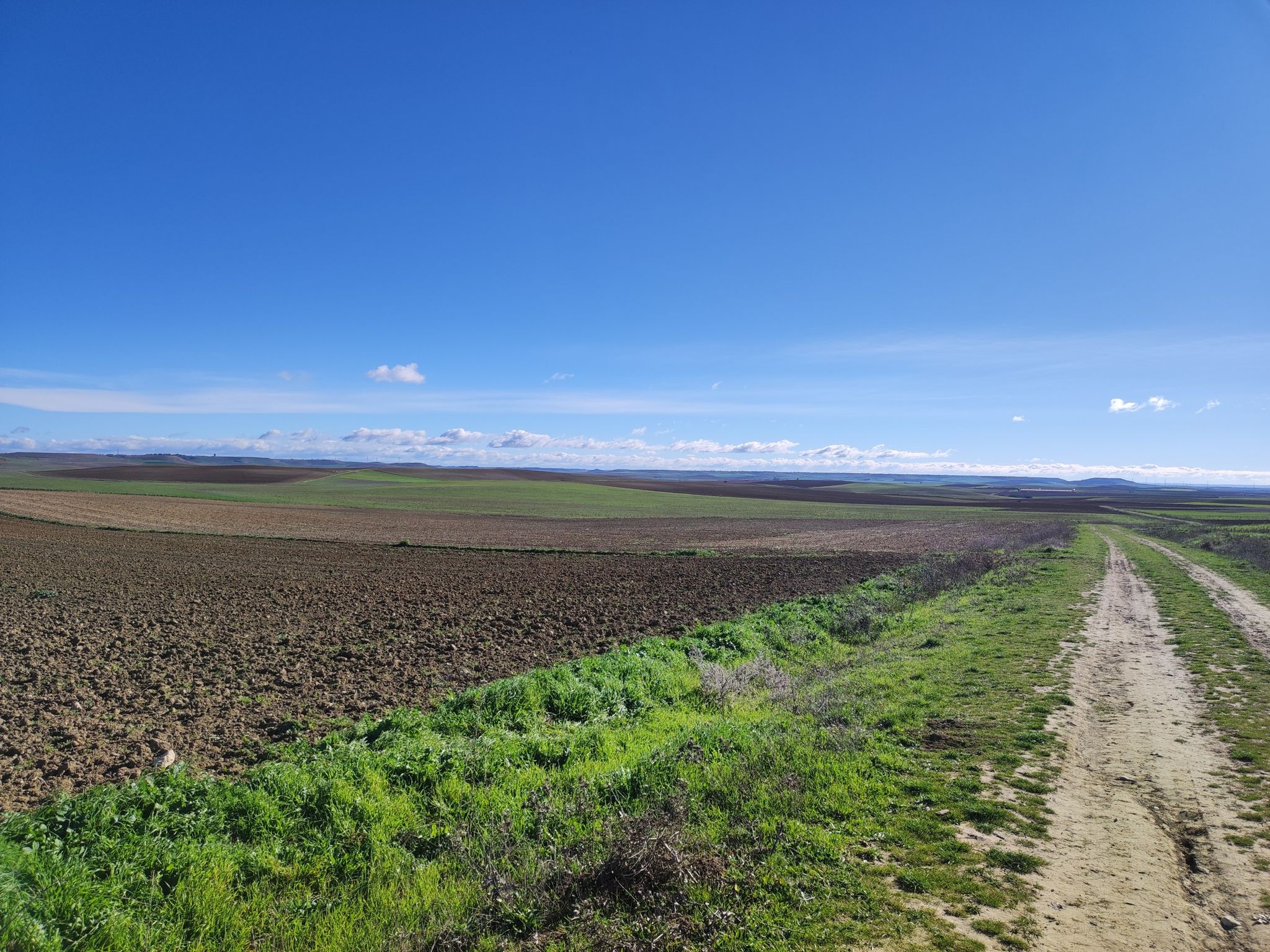 Al fondo los Montes Torozos