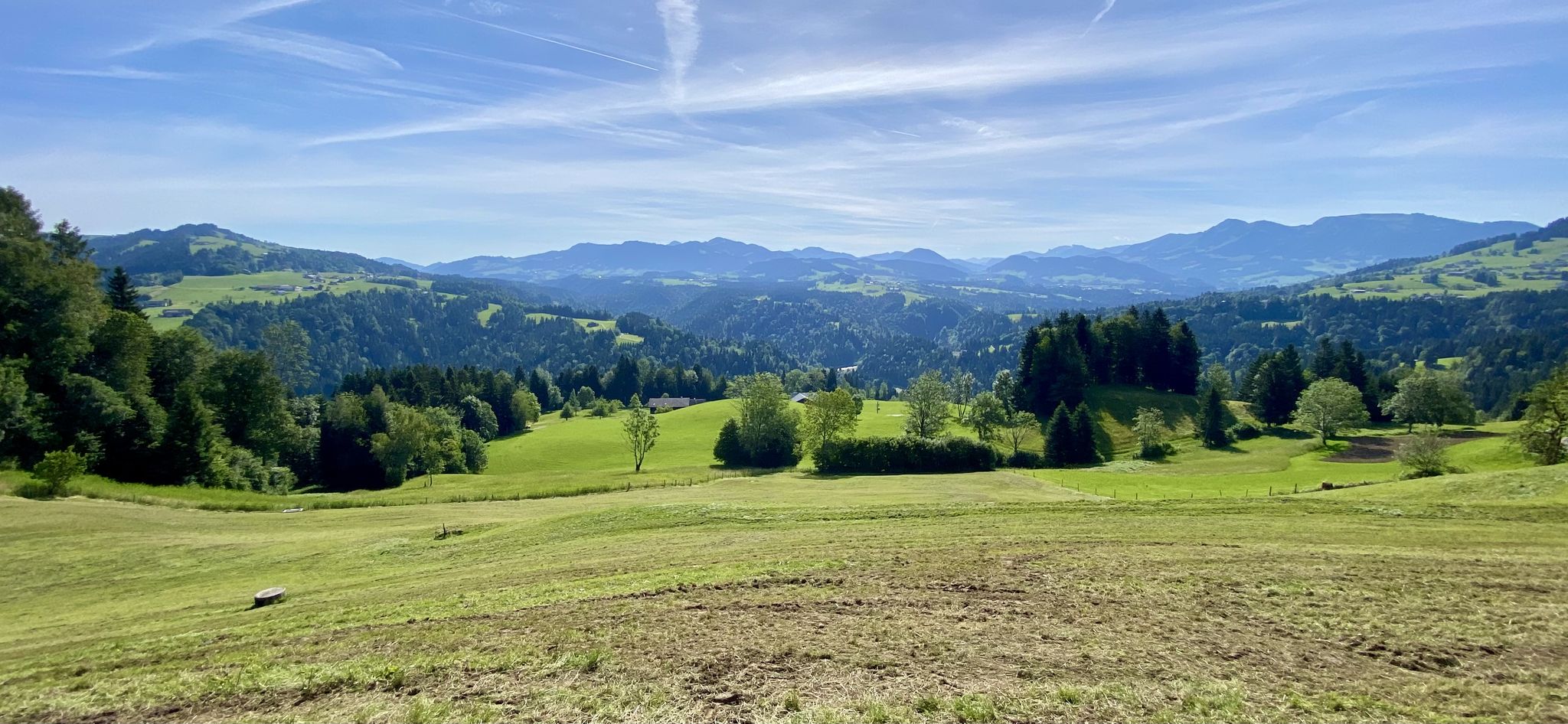 Erster Gutenmorgen-Gruß aus dem Bregenzerwald