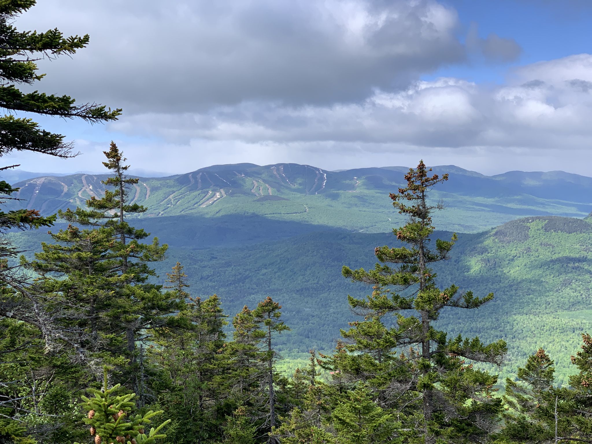 Mountain vista with green trees in foreground, distant peaks, and cloudy sky. - Puzzle Mountain Trail