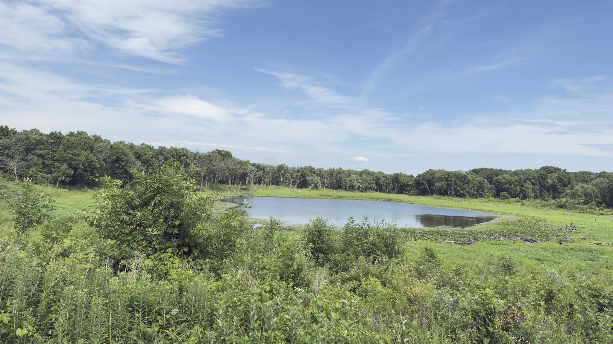 A calm pond surrounded by green fields and dense trees under a blue sky. - Millennium Trail