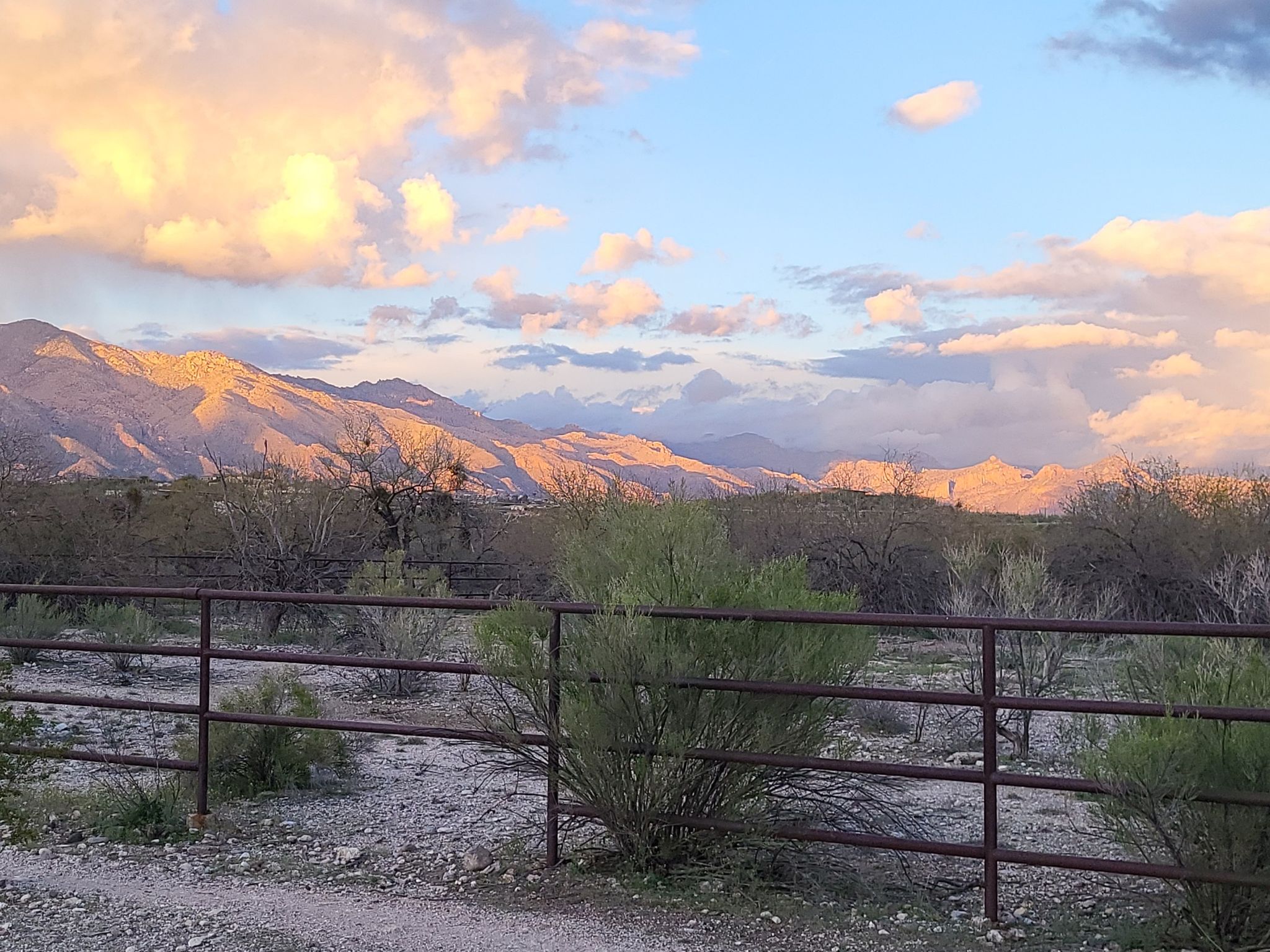 Desert landscape with a fence, bushes, and mountains under a colorful sunset sky. - Batty Biker – Wild Spirit loop from Butterfield Ranch
