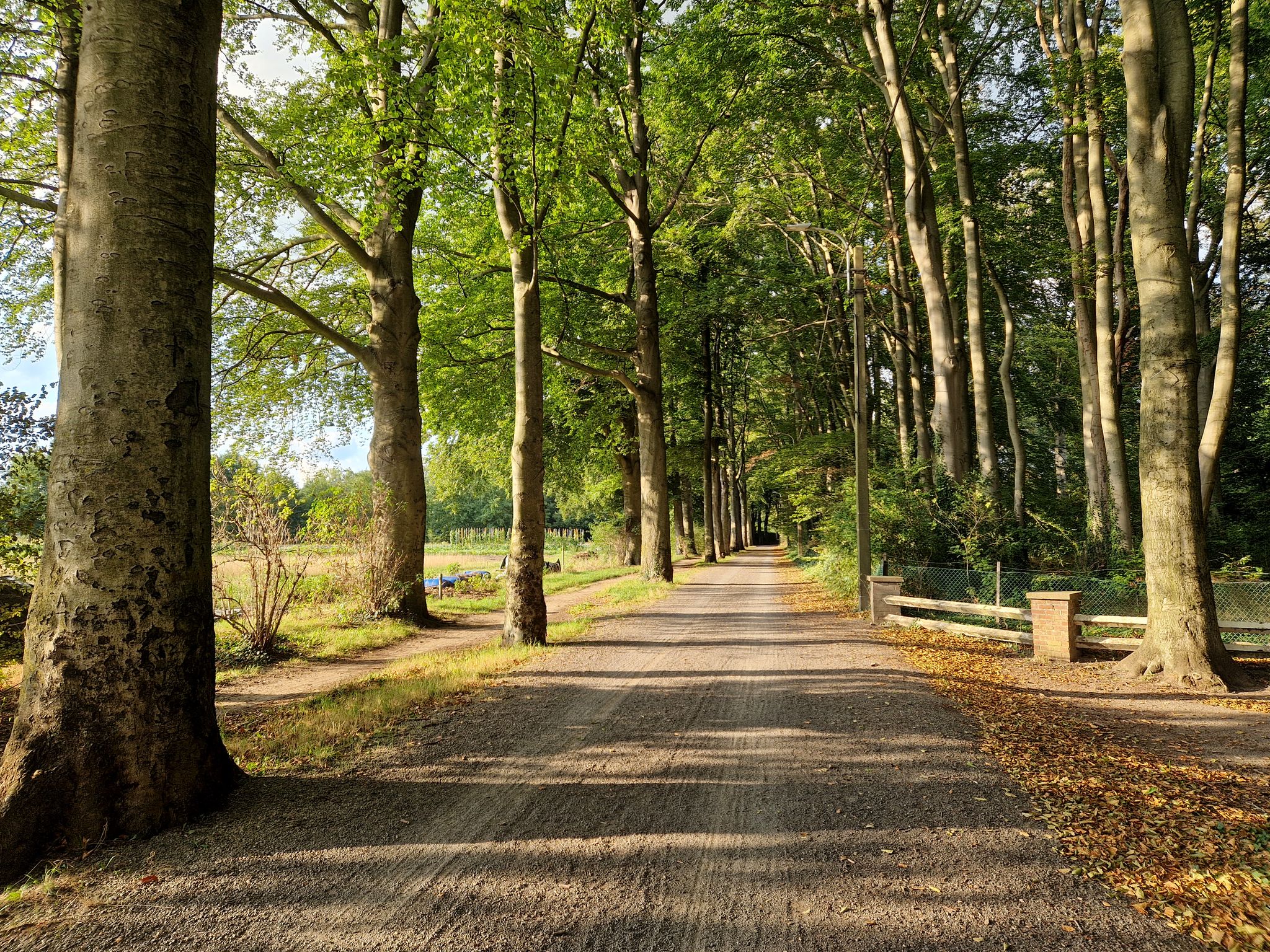 De Zevensterrede graveldreef bij avondlicht