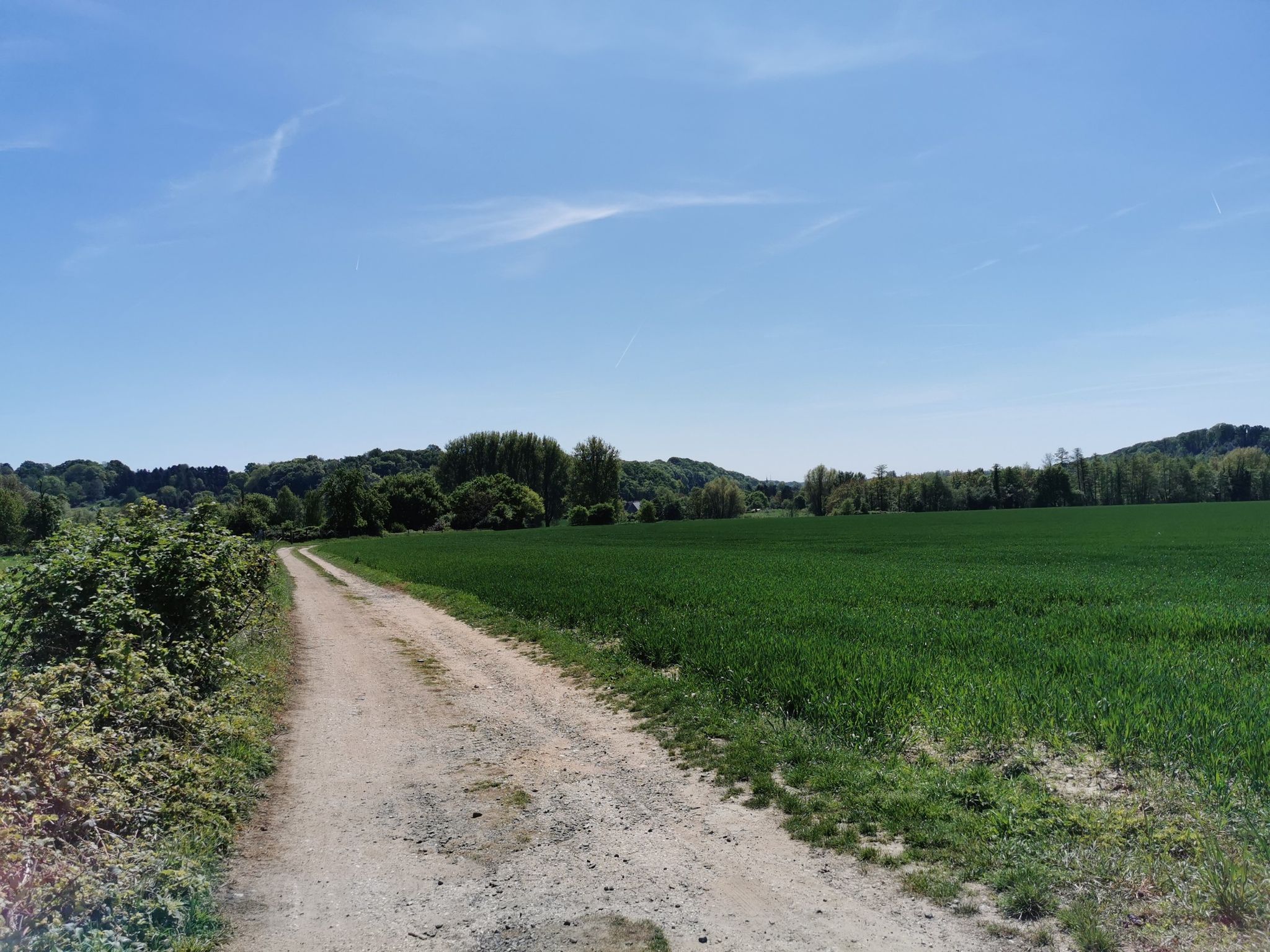 Feldweg Richtung Wupper