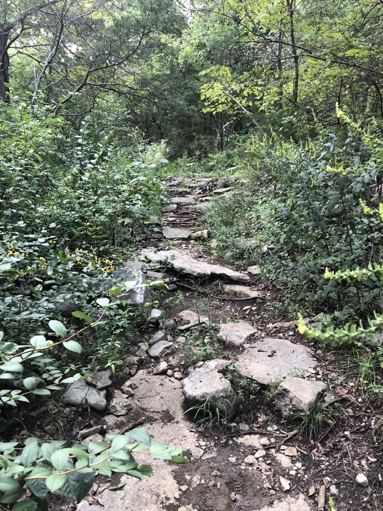 A rocky, muddy path winding through dense green bushes in a forest. - Alms House and Wagon Trail Loop