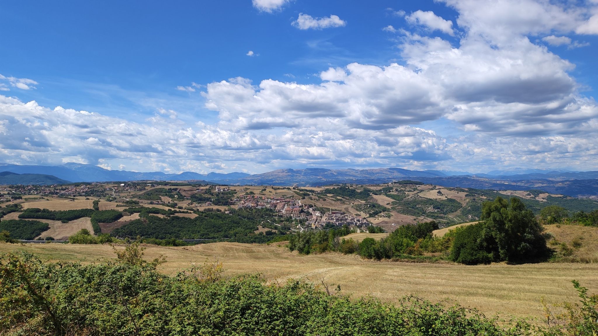 Ripalimosani