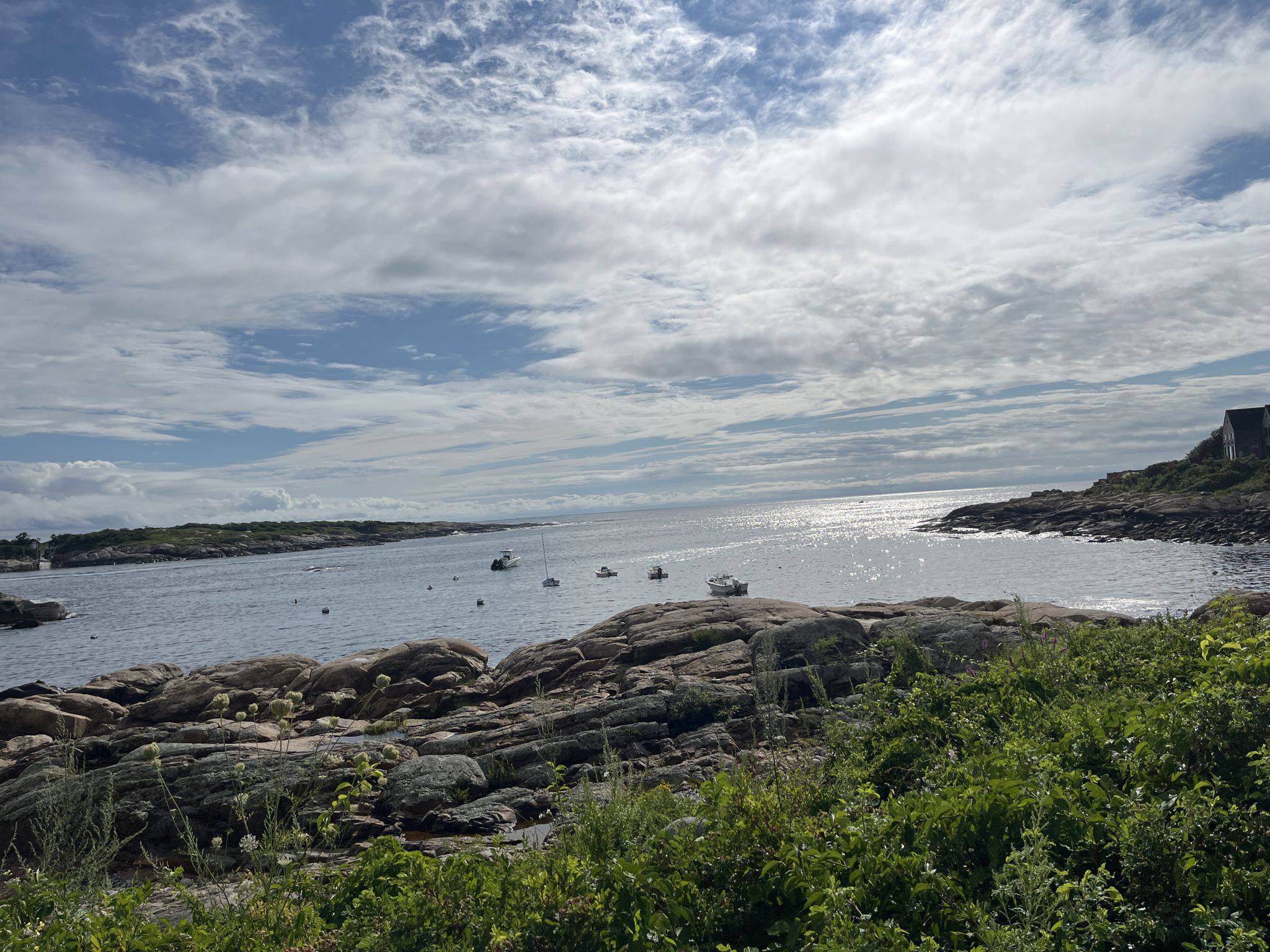 Rocky coastline with green bushes overlooking a bay with boats. - Halibut Point State Park – Rockport Harbor loop from Halibut Point State Park