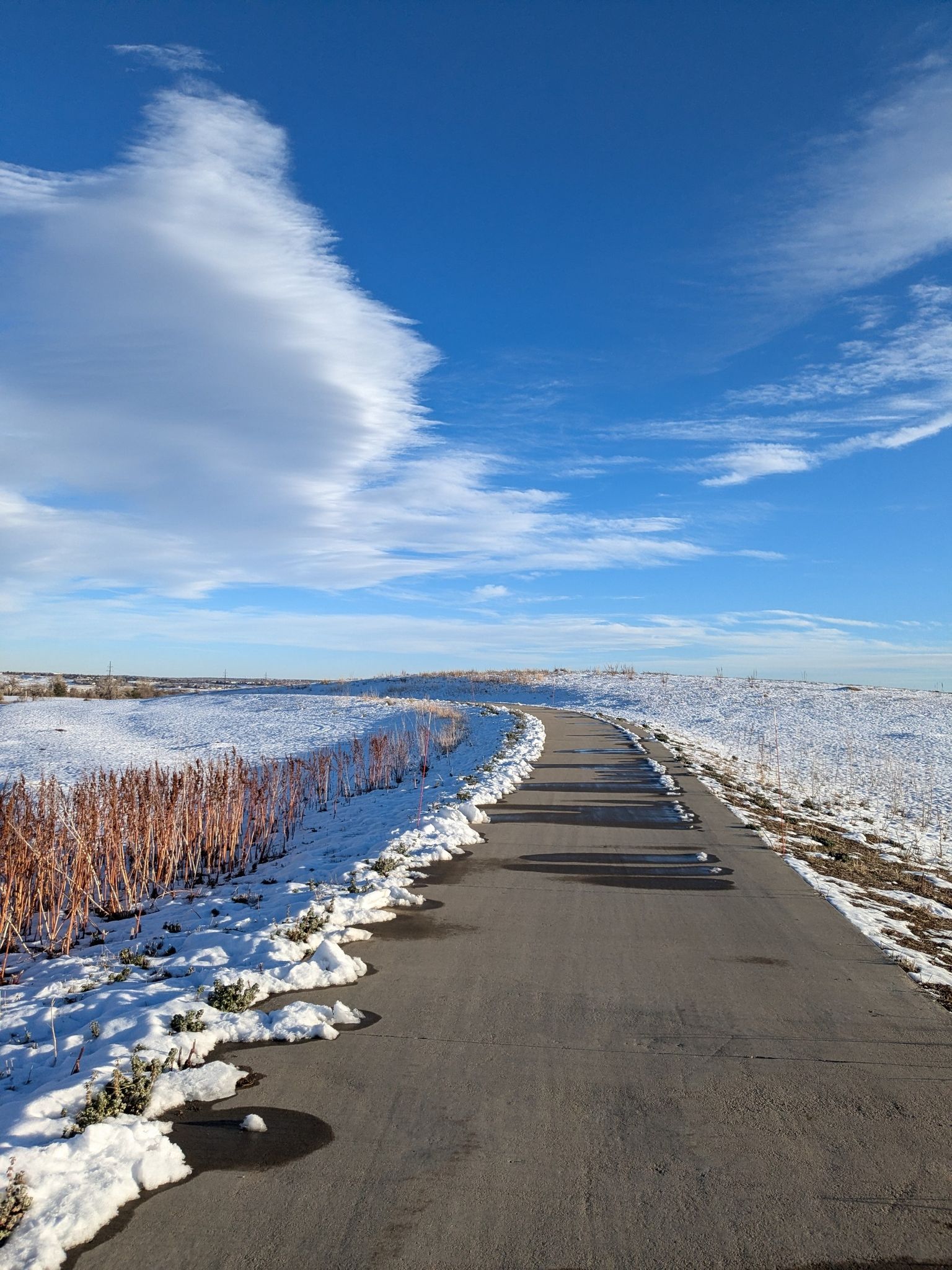 Paved path through snow-covered fields with red bushes under a blue sky. - Walnut Creek Open Space – Big Dry Creek loop from Louisville
