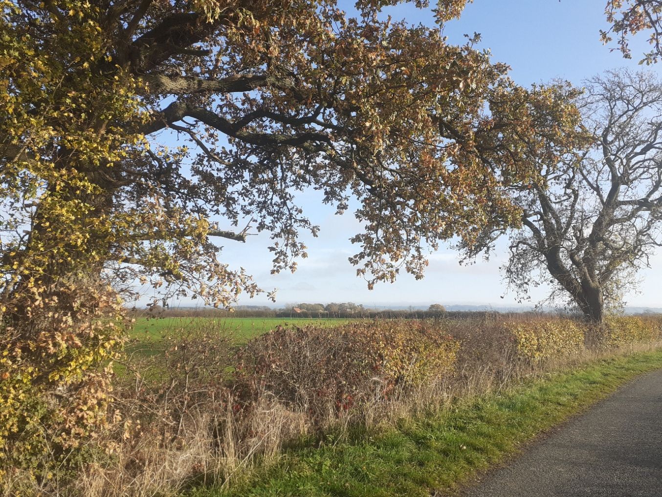 The distant Cliff from Torgate Lane