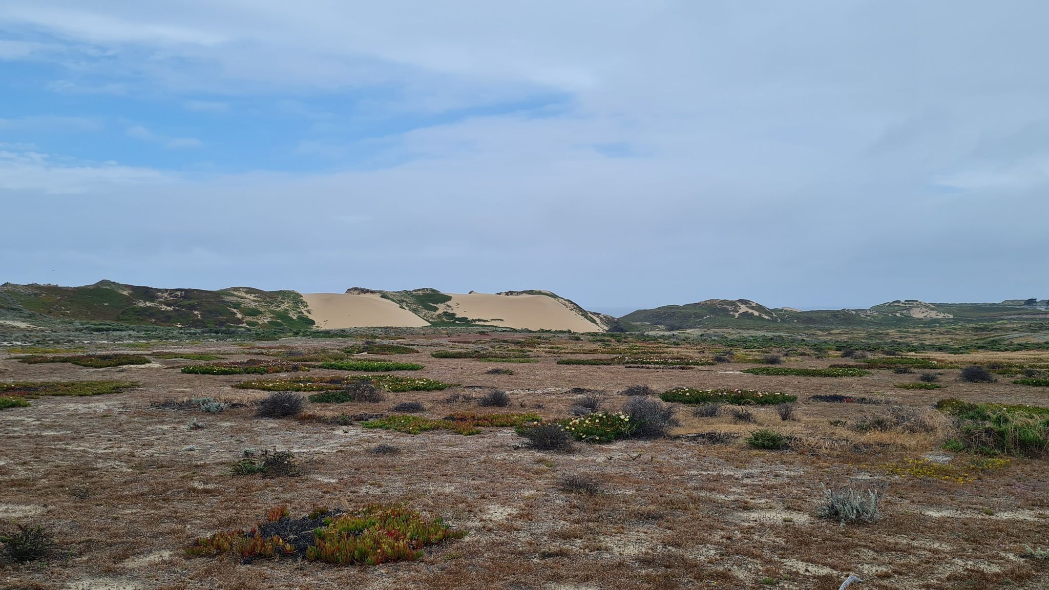 Expansive coastal plain with large sand dunes in the distance under a blue sky. - Fort Ord Dunes State Park loop from Fort Ord Dunes State Park