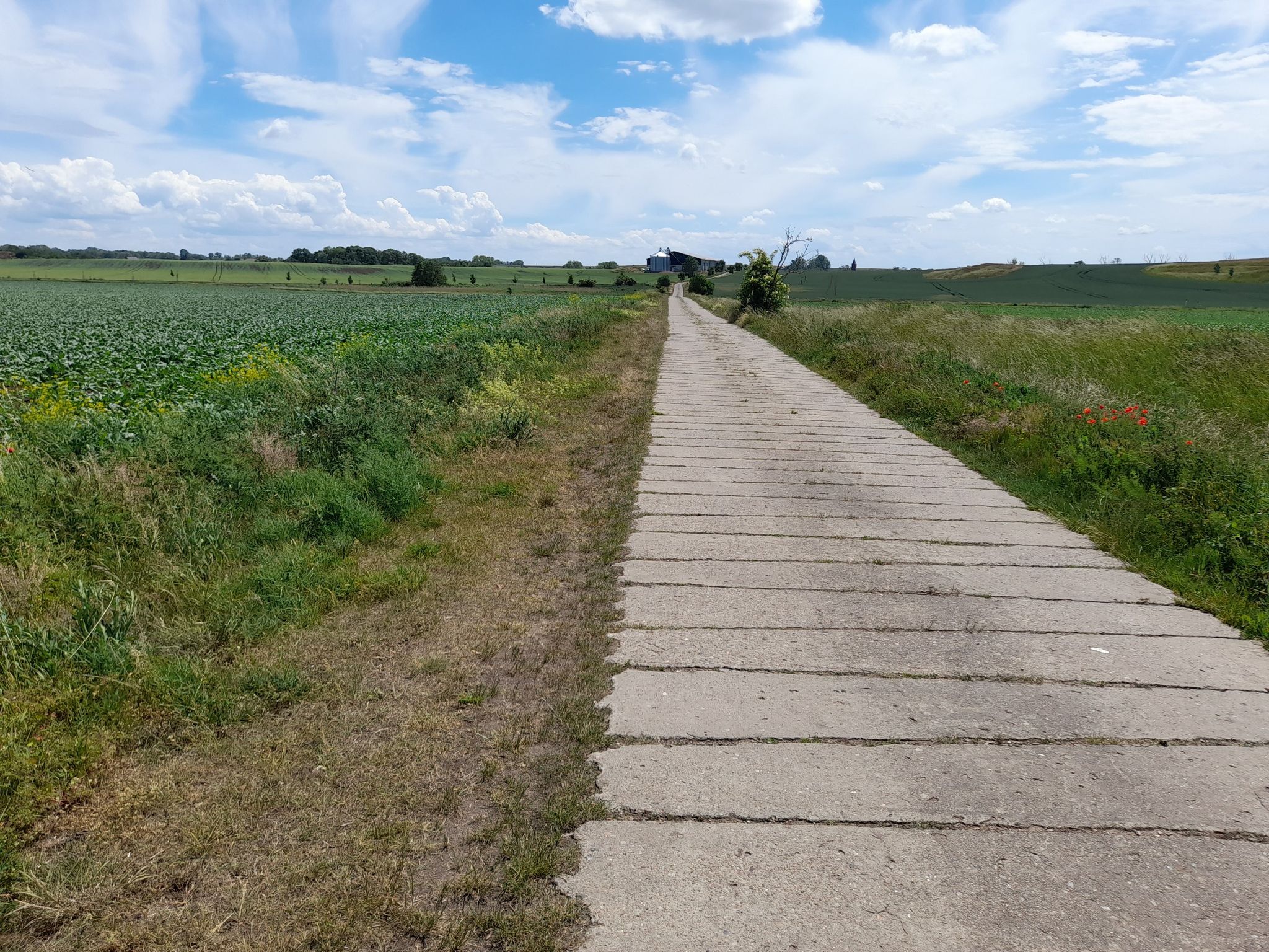 Sieht schon besser aus...