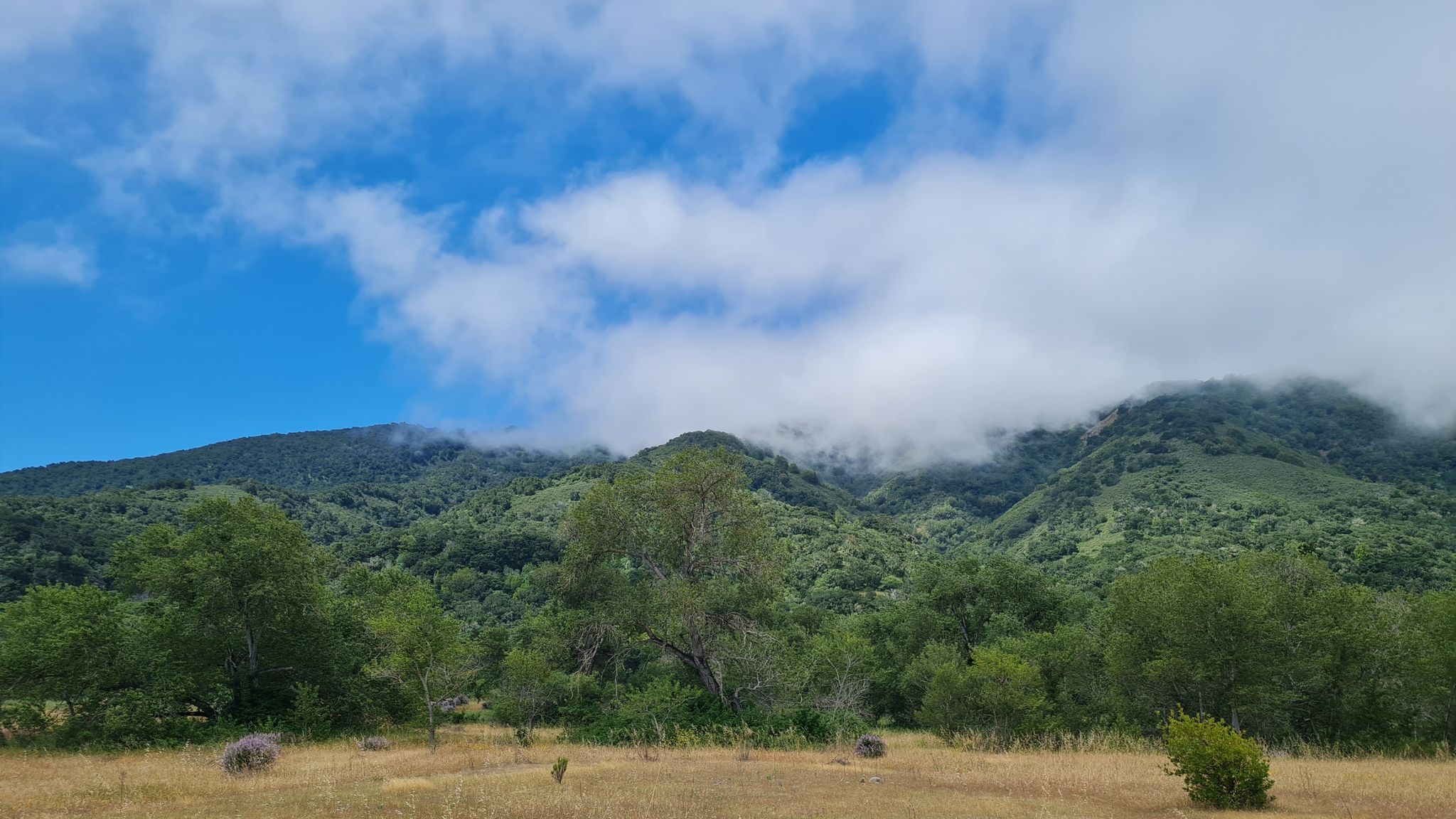 Green mountains partially covered by clouds above a grassy field. - Cottonwood, Maple Canyon, and Lupine Loop