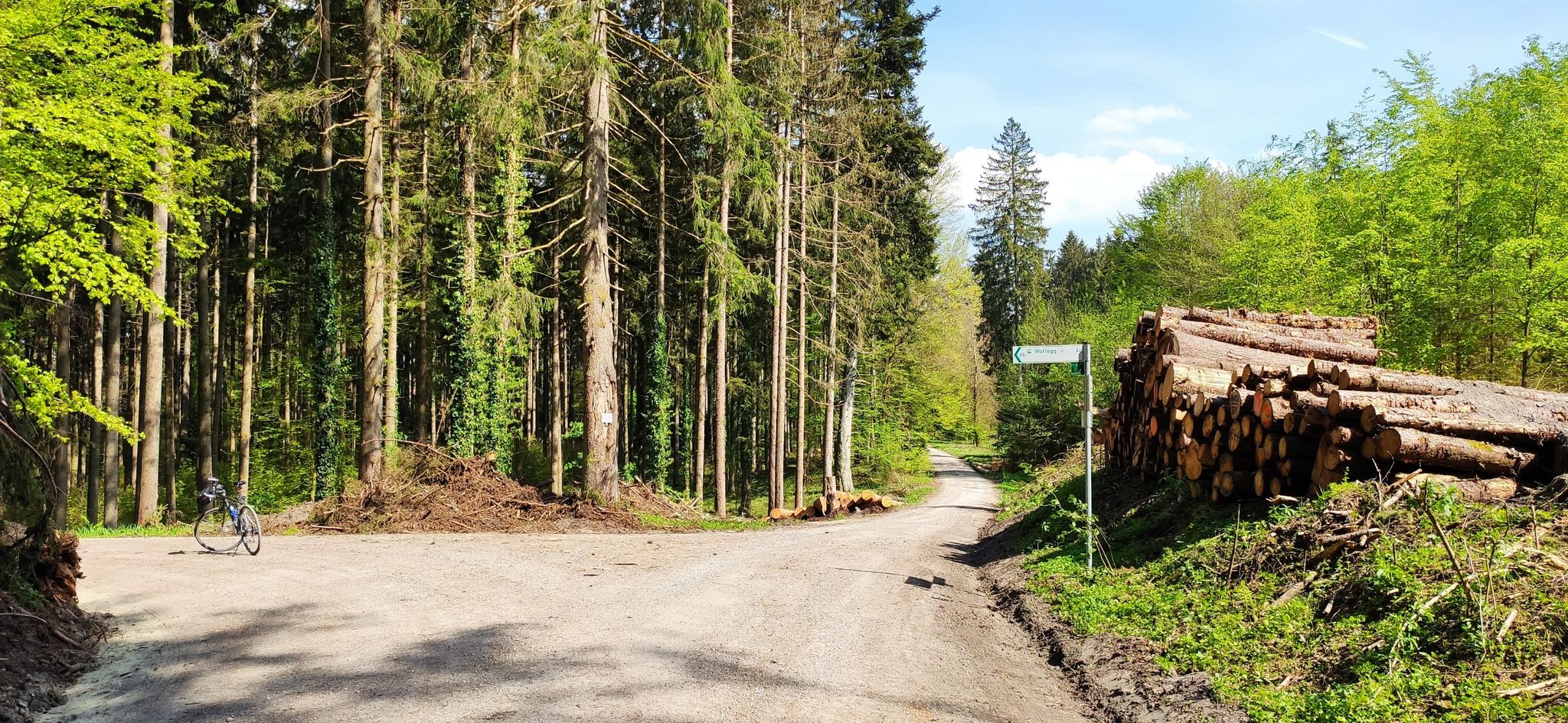 Schöne Waldwege bei Vogt