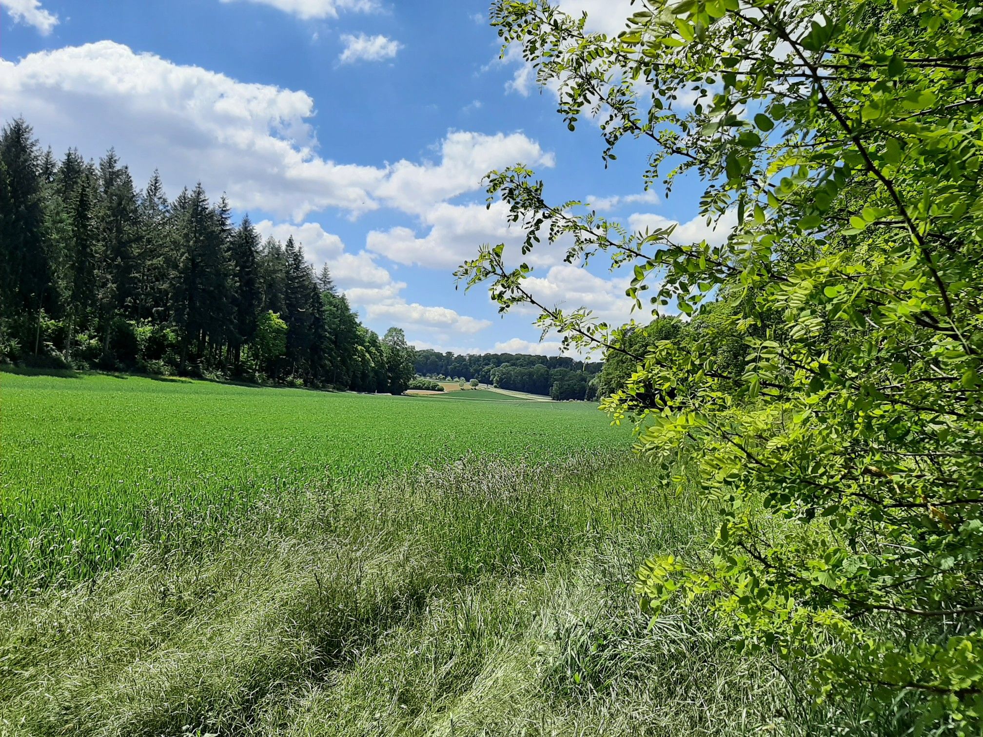 Nach Löchgau ...