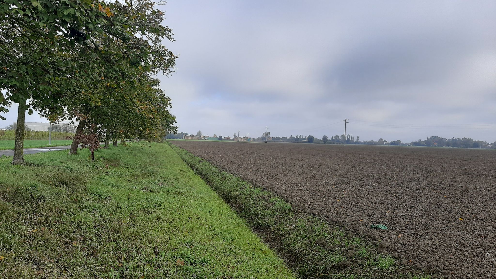 campagne Medollesi