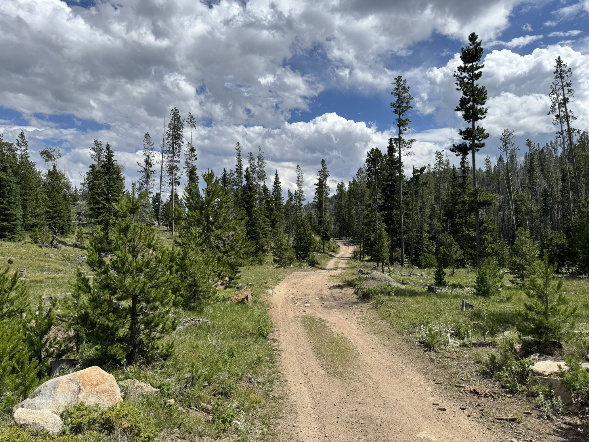 A dirt road winds through a forest under a cloudy blue sky. - Great Divide - Park Lake Loop