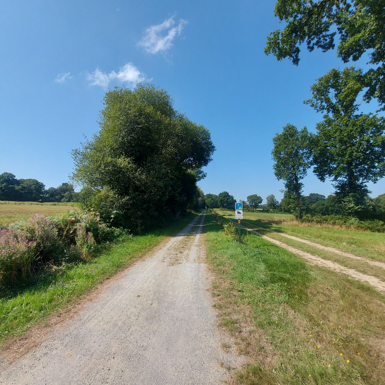 Querfeld in der Natur