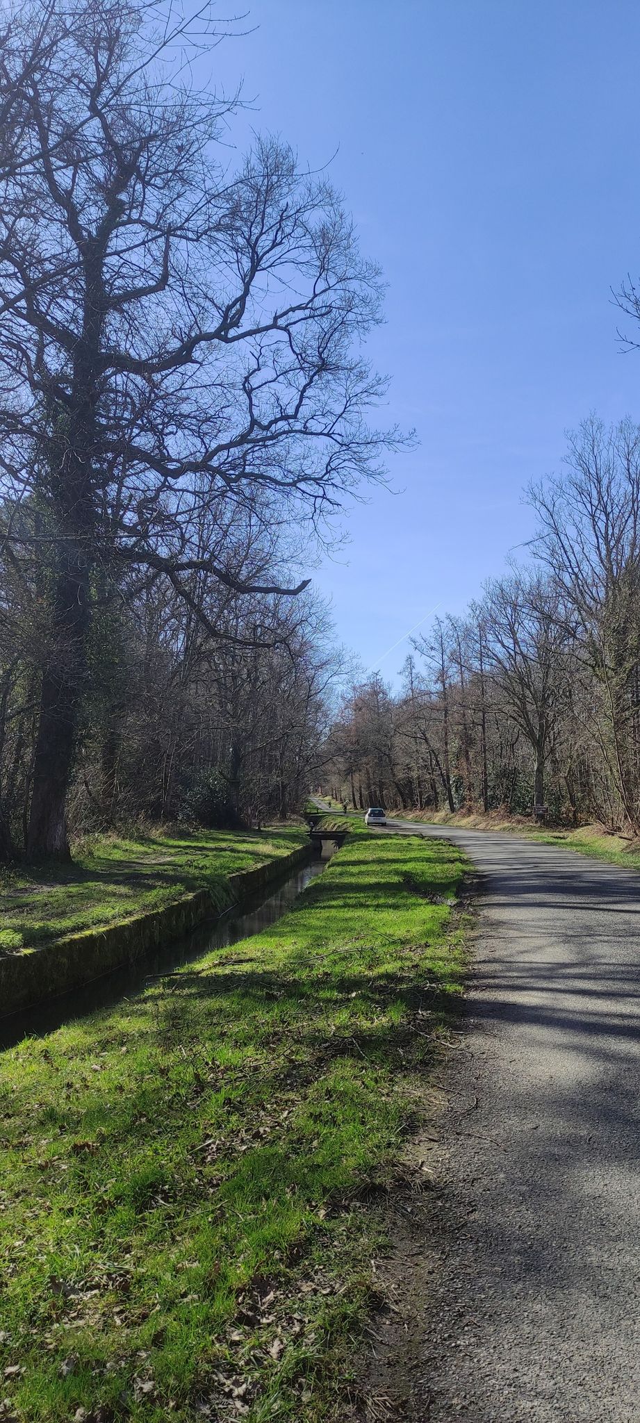 Anciens canal et route romaine dans la forêt de Cardeilhac
