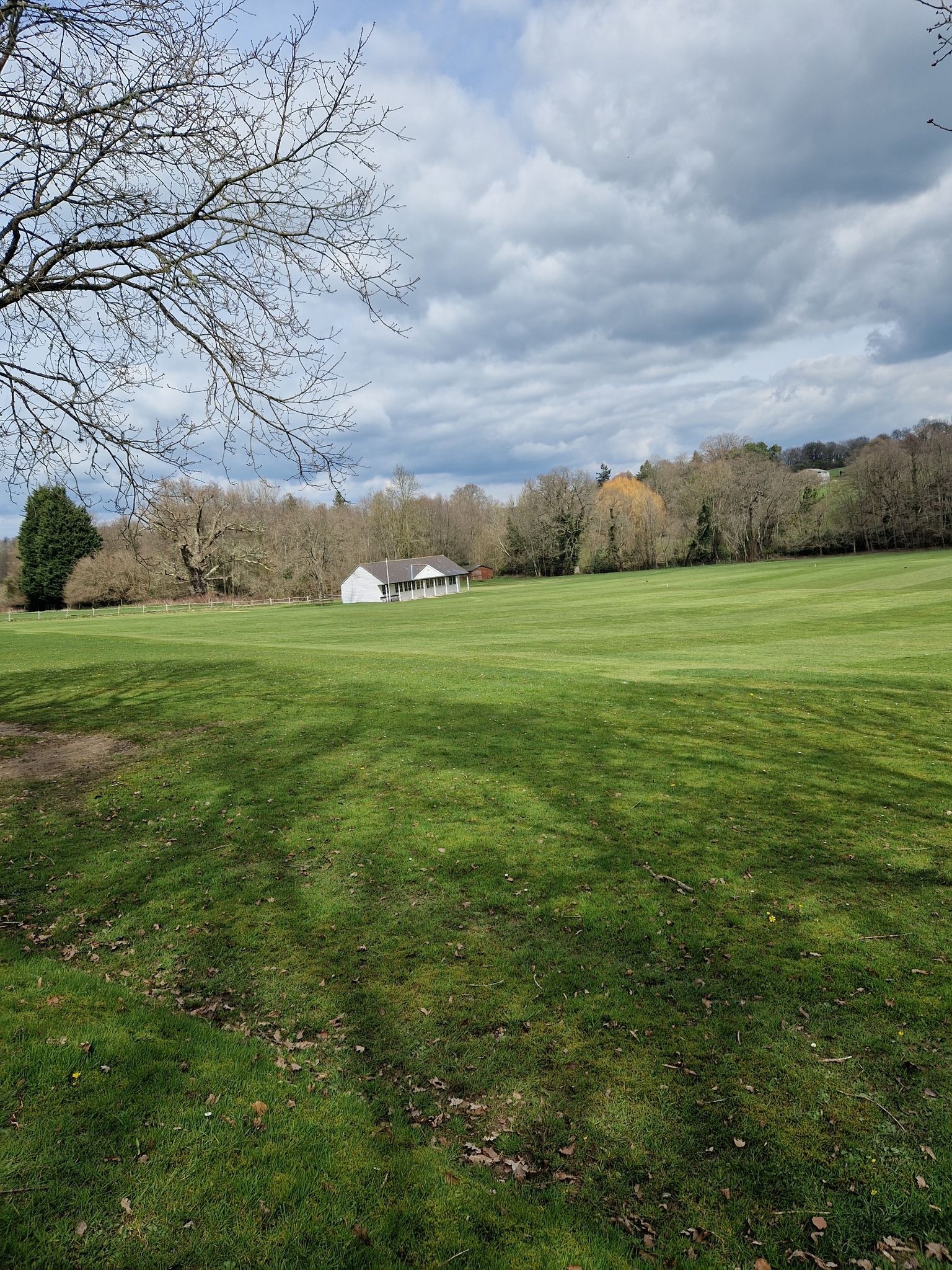Withyham cricket pitch