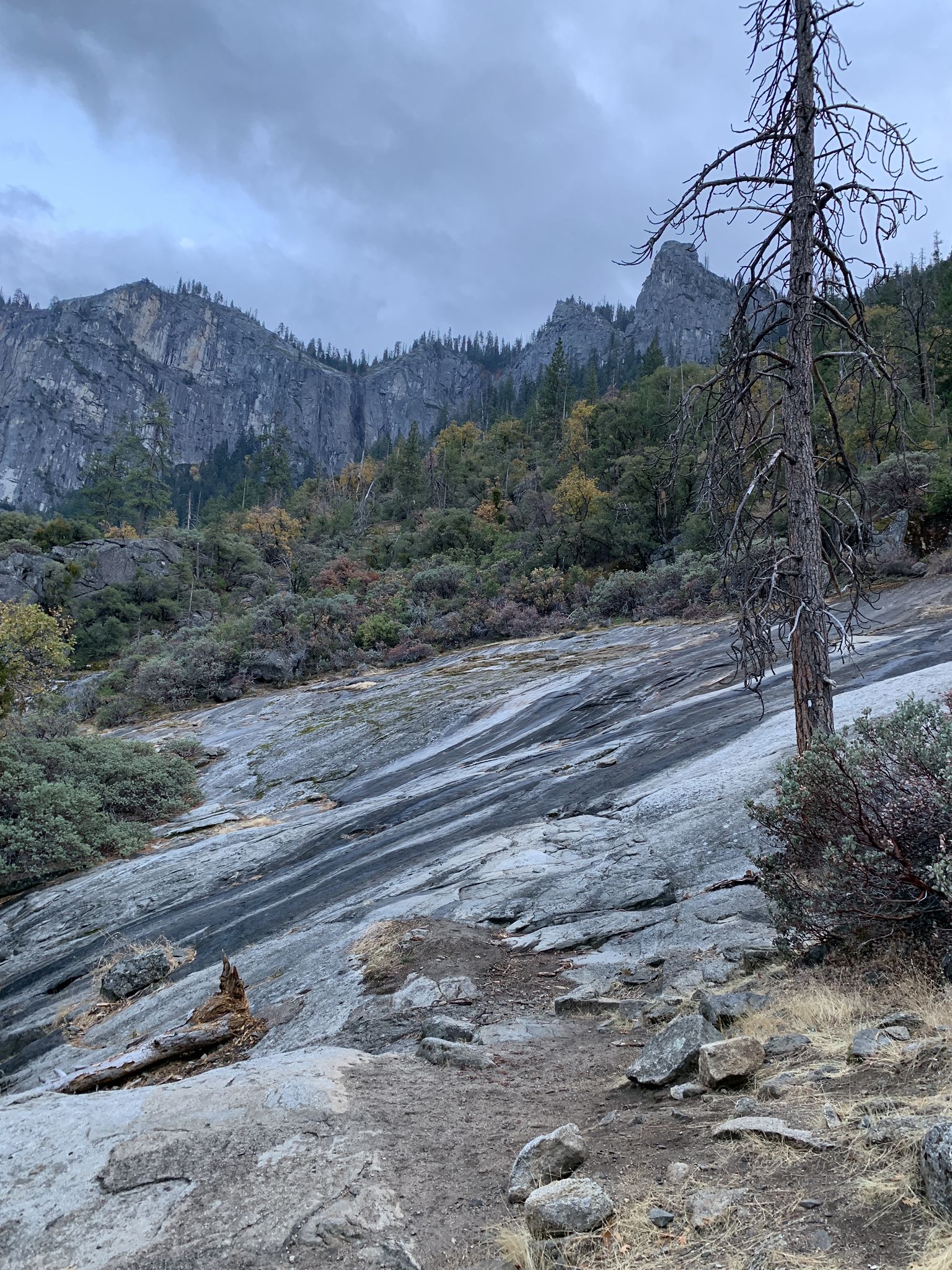 Rocky, sloped terrain with sparse trees and a cloudy, overcast sky. - Artist Point Trail