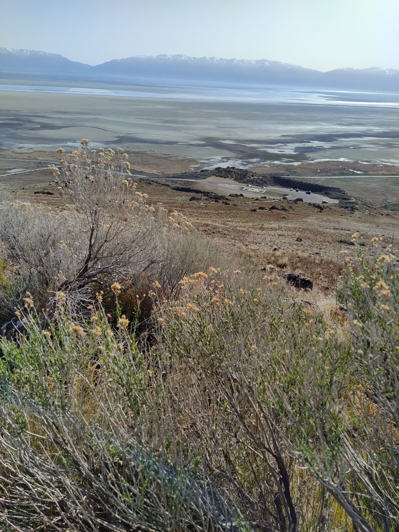 Overgrown bushes in the foreground, with a vast, dry lakebed and distant mountains. - Dooly Knob Trail