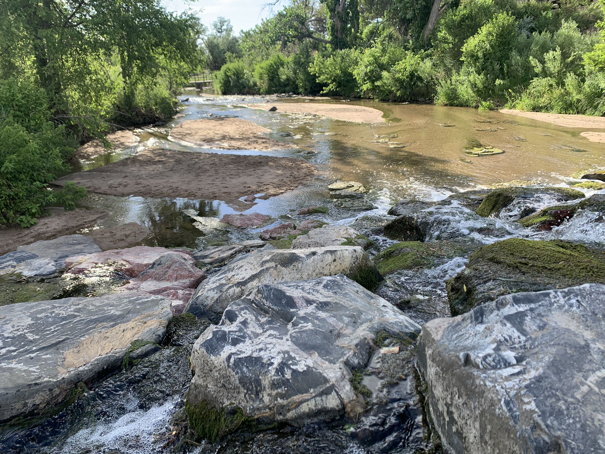 A clear river flows over rocks and sand, surrounded by green trees. - High Line Canal and Cherry Creek Trail Loop